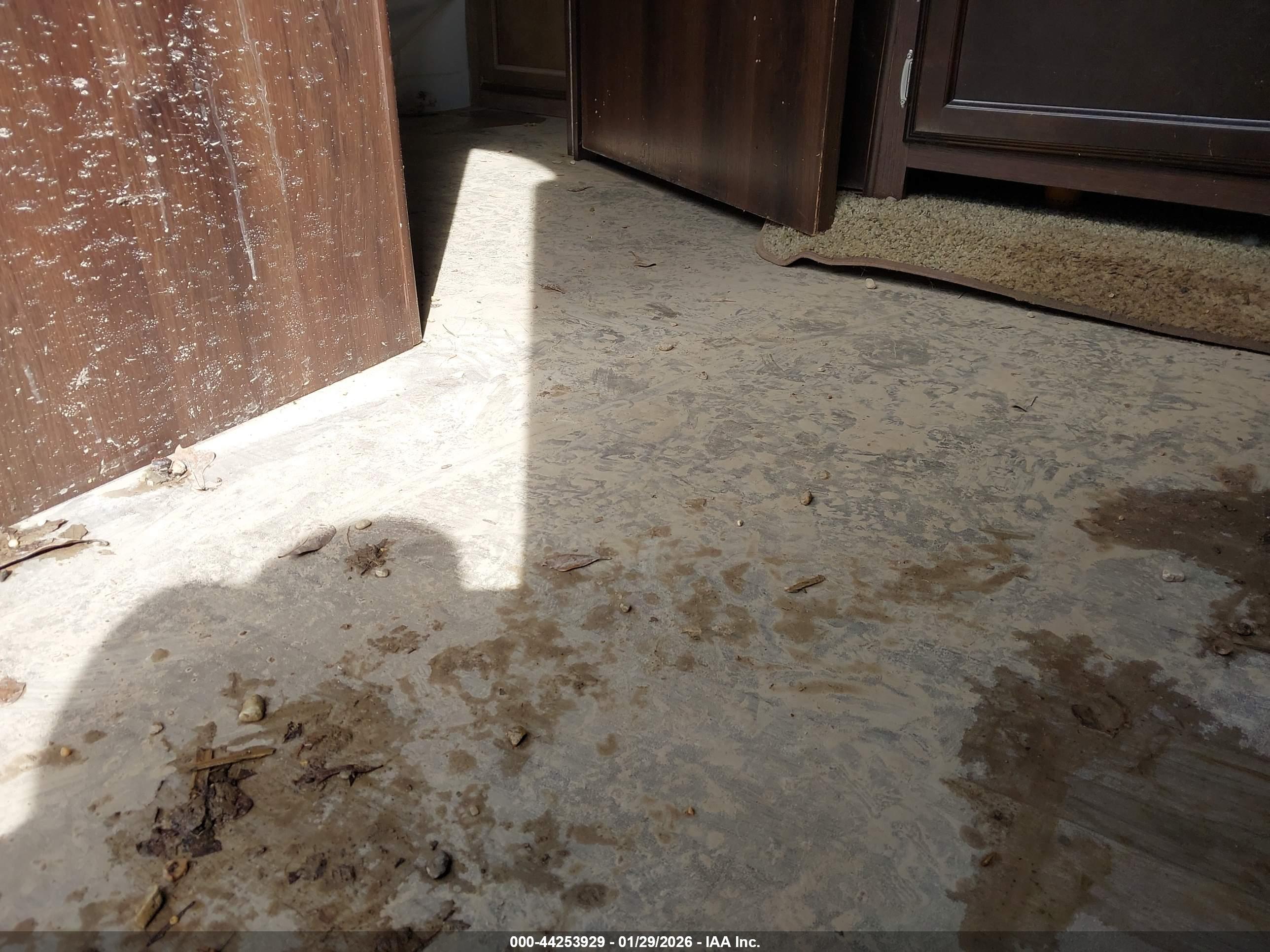 JAYCO WHITE image 6