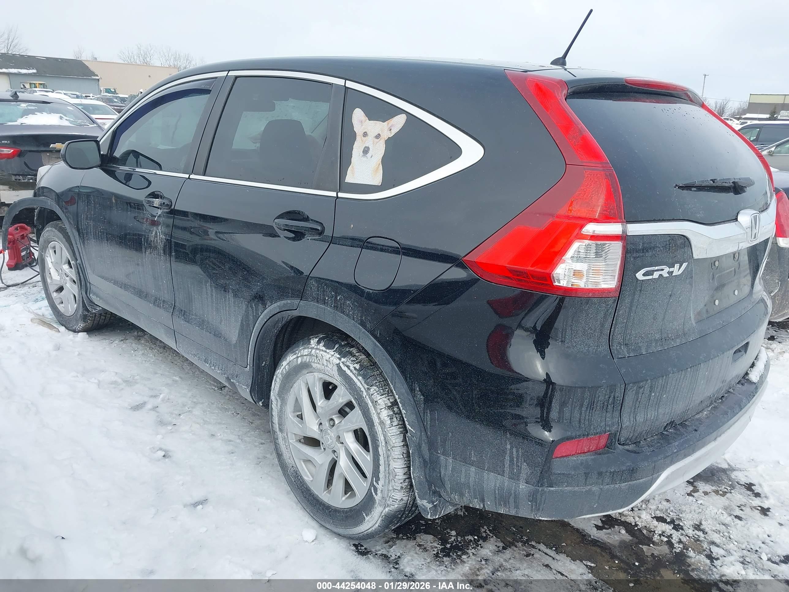 HONDA CR-V image 3