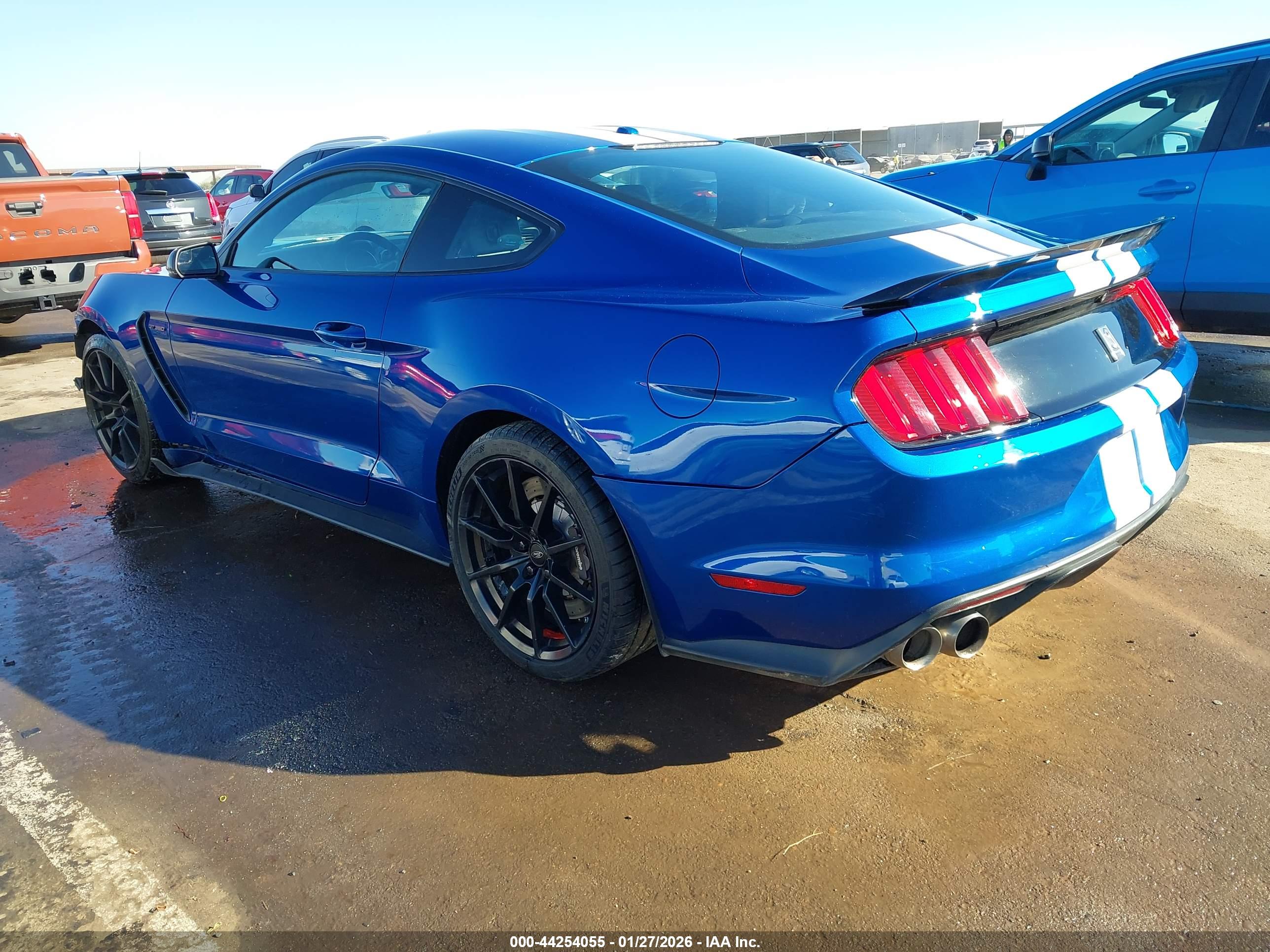 FORD SHELBY image 3