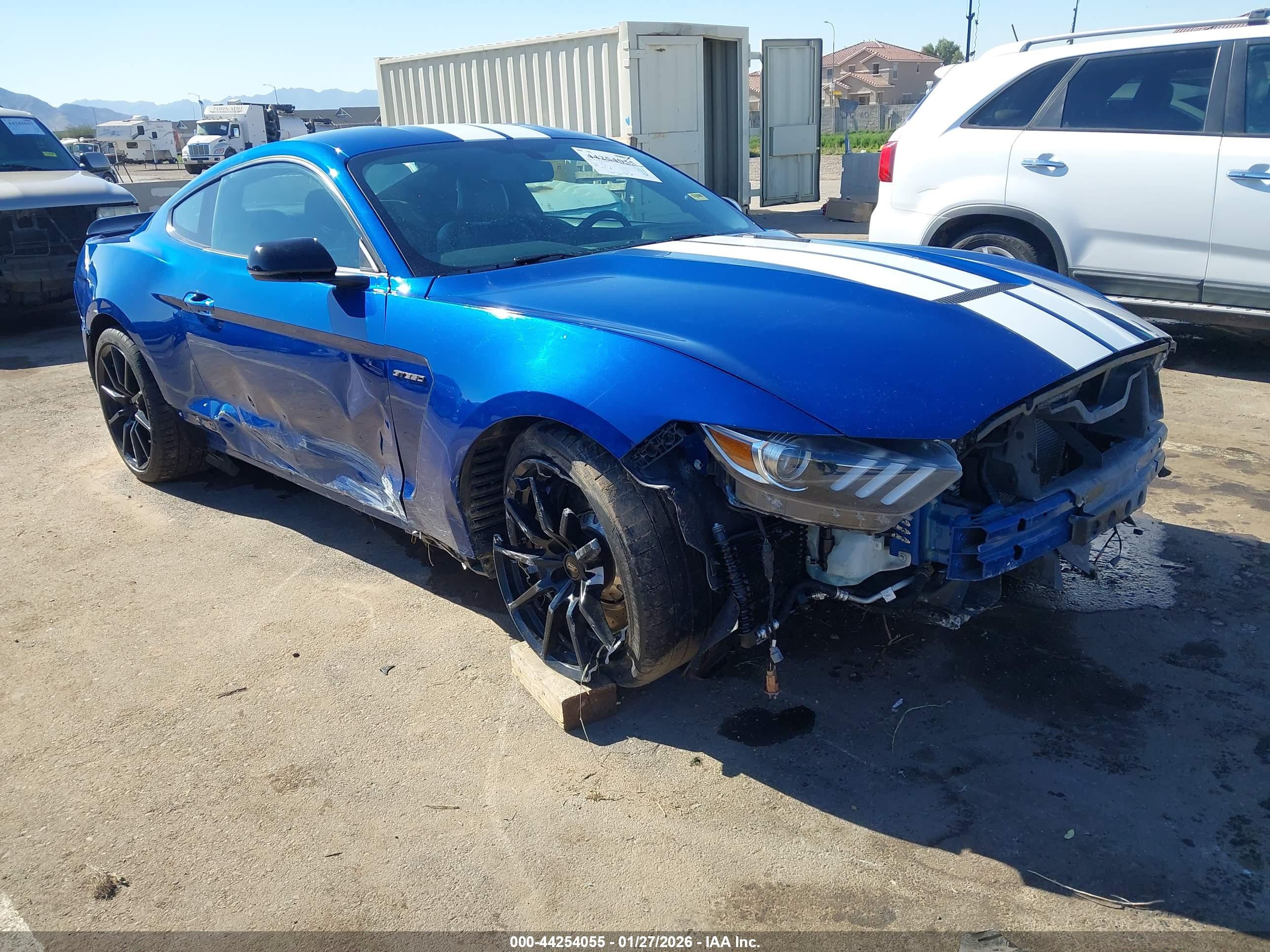 FORD SHELBY image 6