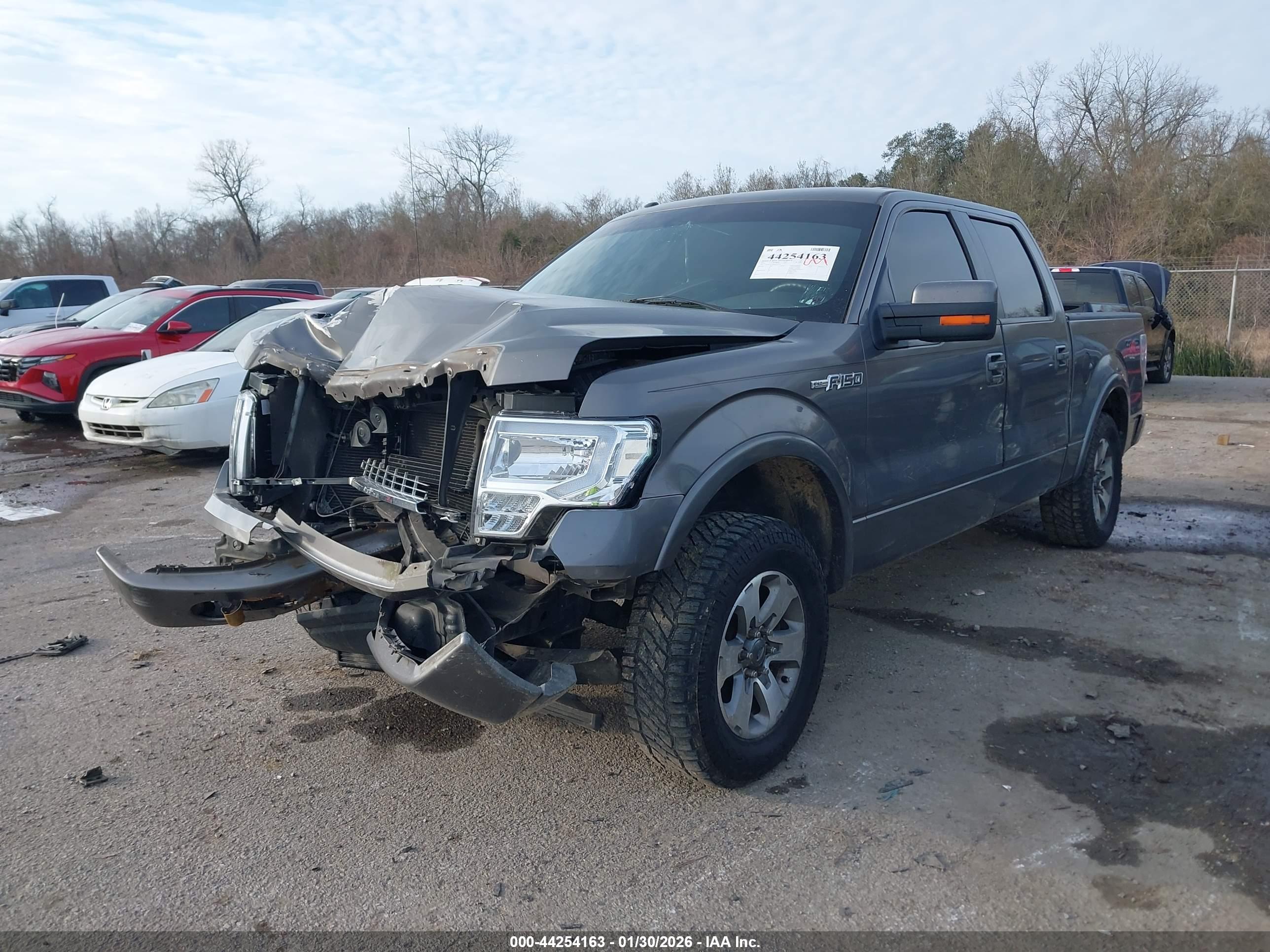 FORD F-150 image 2