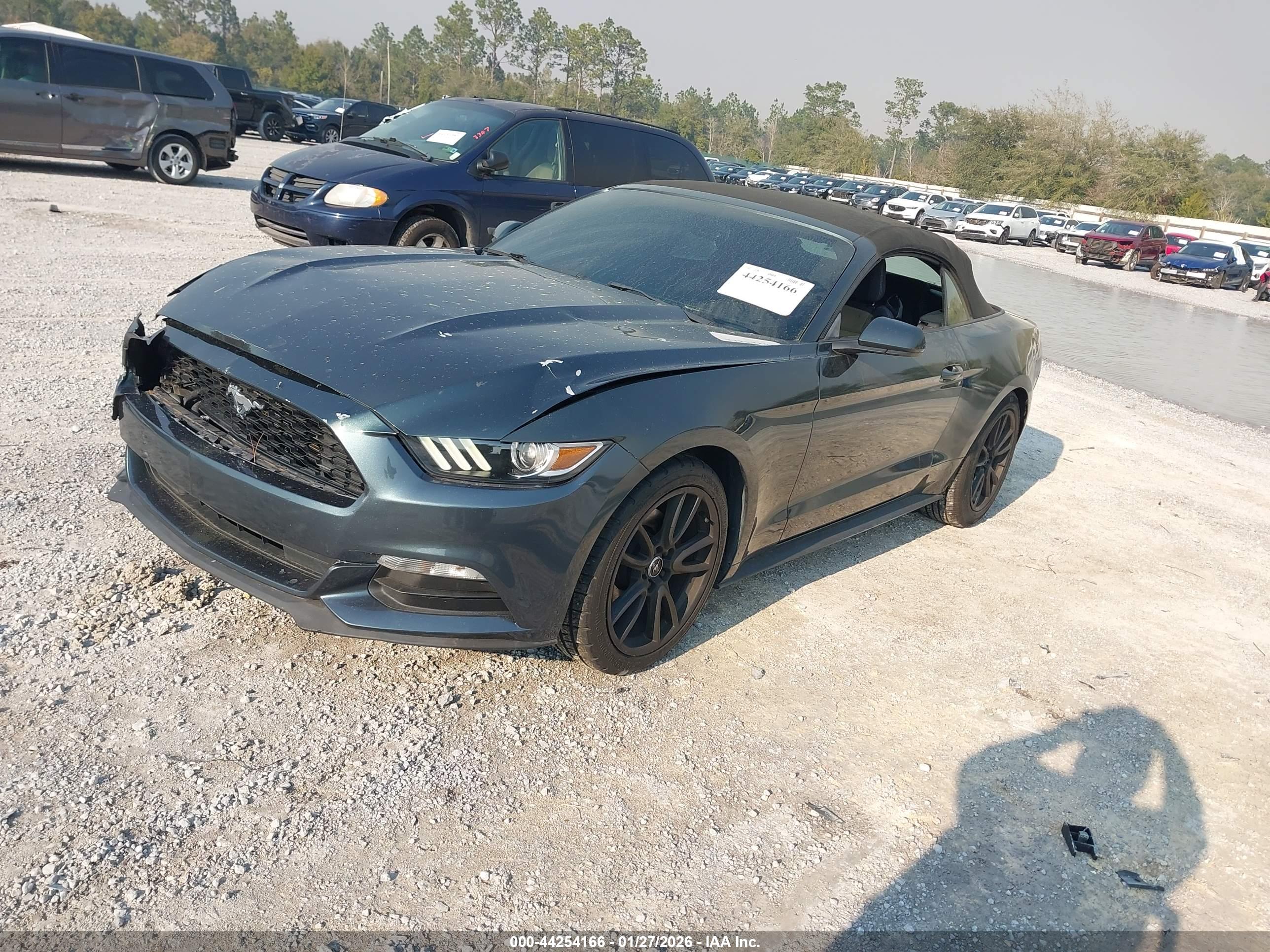 FORD MUSTANG image 2