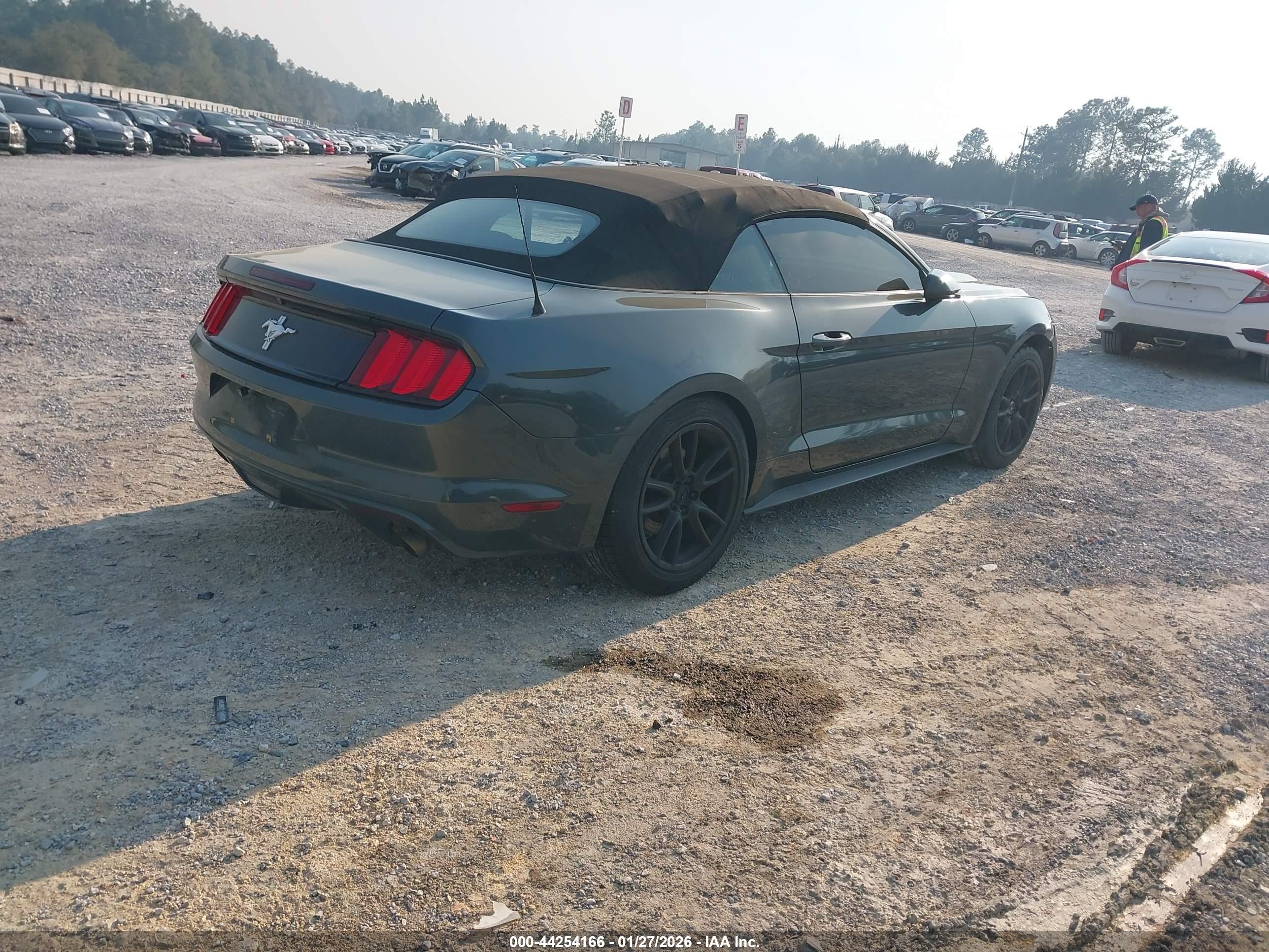 FORD MUSTANG image 4
