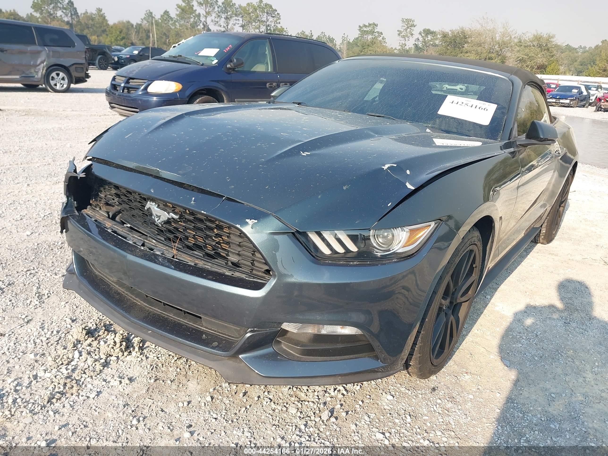 FORD MUSTANG image 6