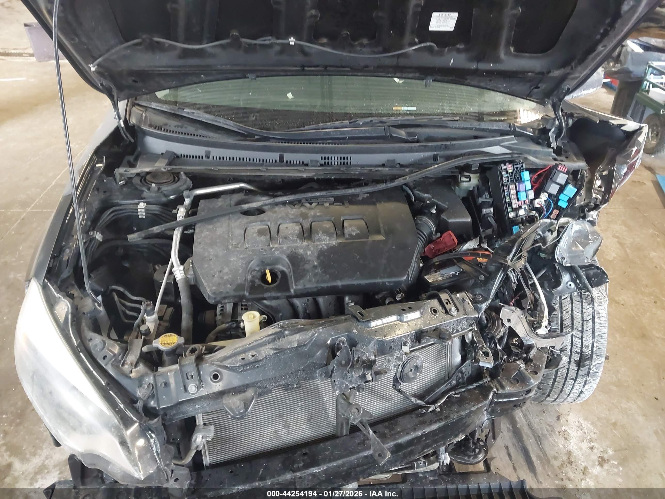 TOYOTA COROLLA image 10