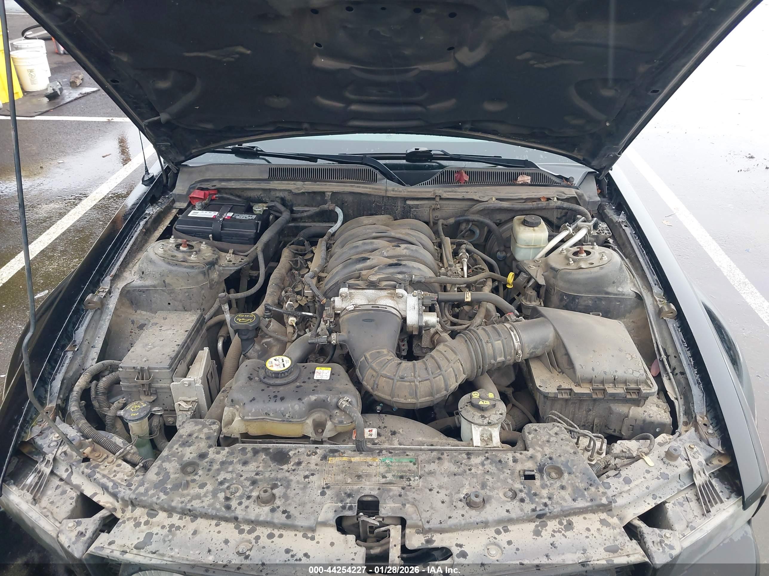 FORD MUSTANG image 10