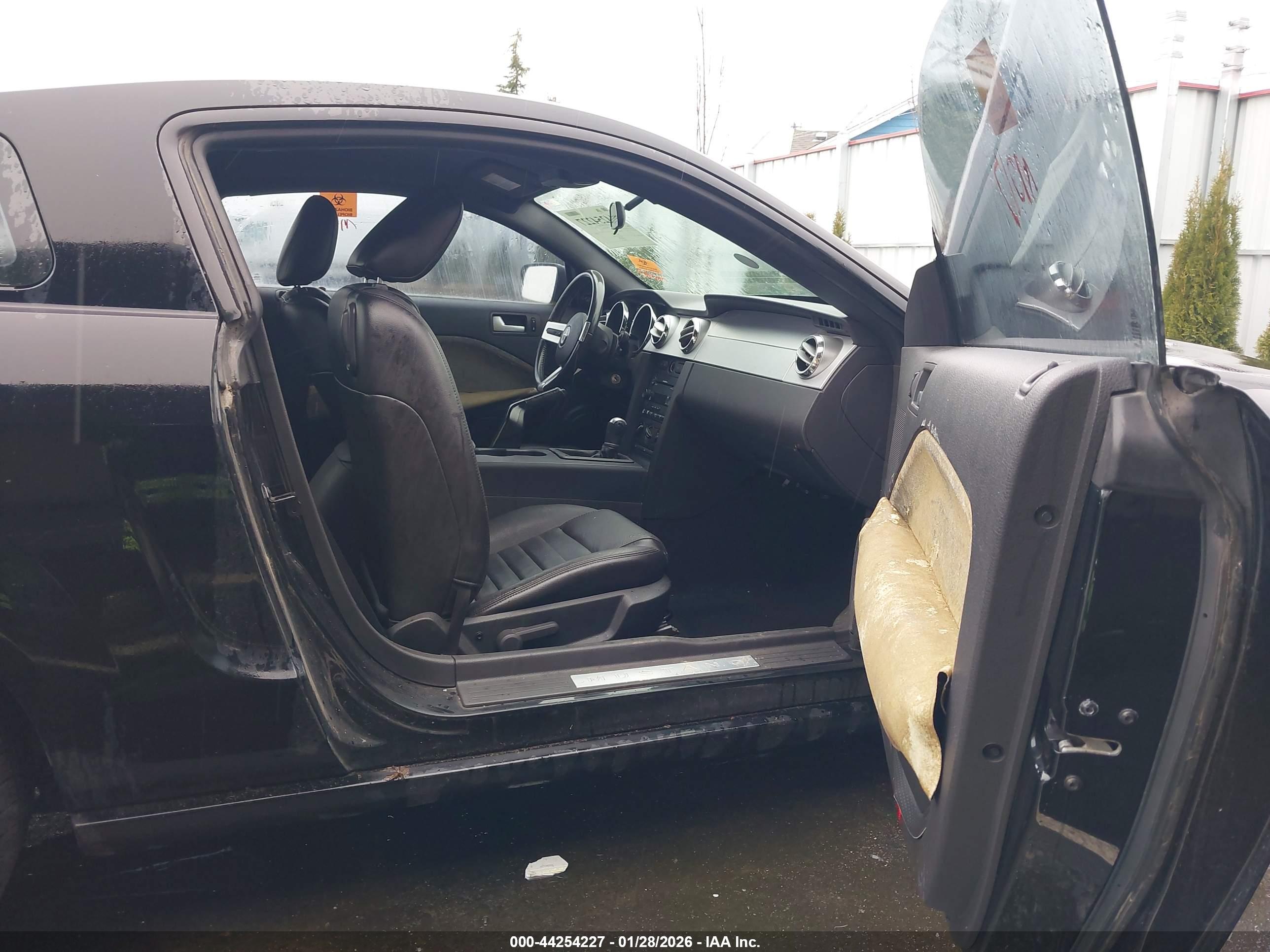 FORD MUSTANG image 5