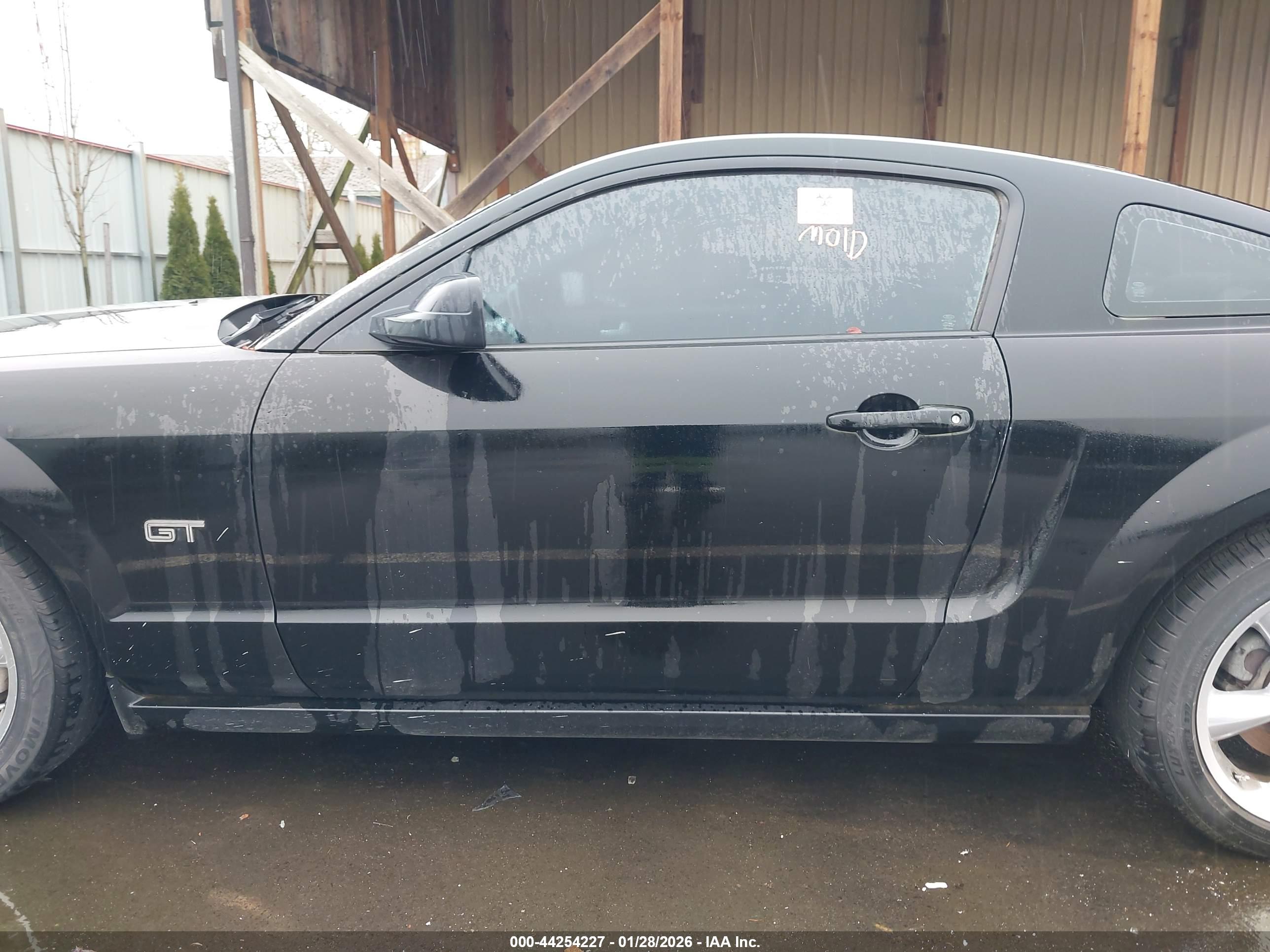 FORD MUSTANG image 6