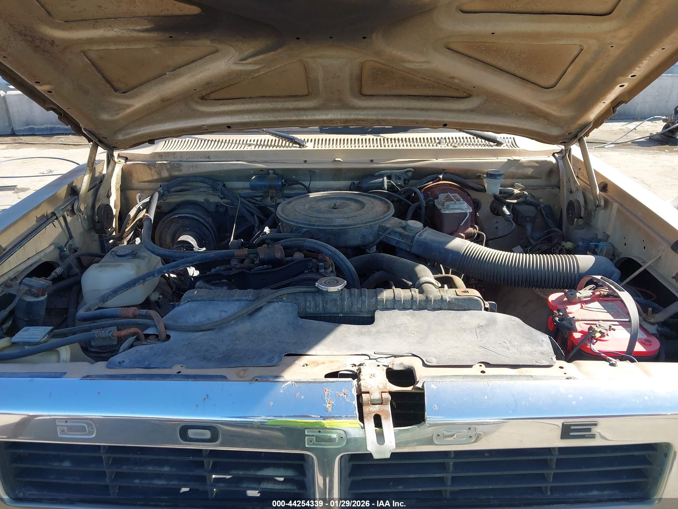 DODGE W-SERIES image 10