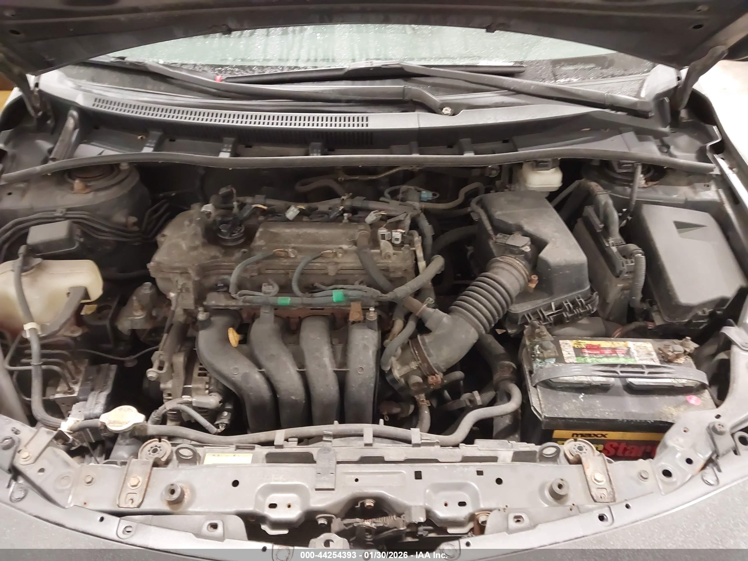 TOYOTA COROLLA image 10