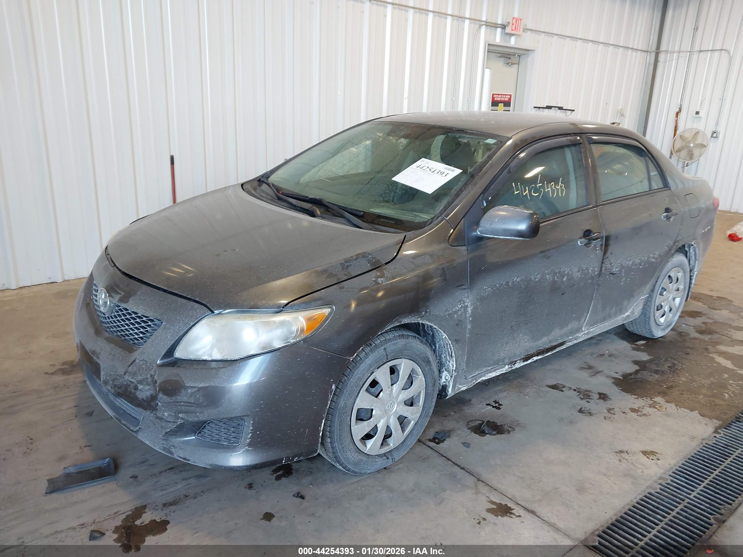 TOYOTA COROLLA image 2
