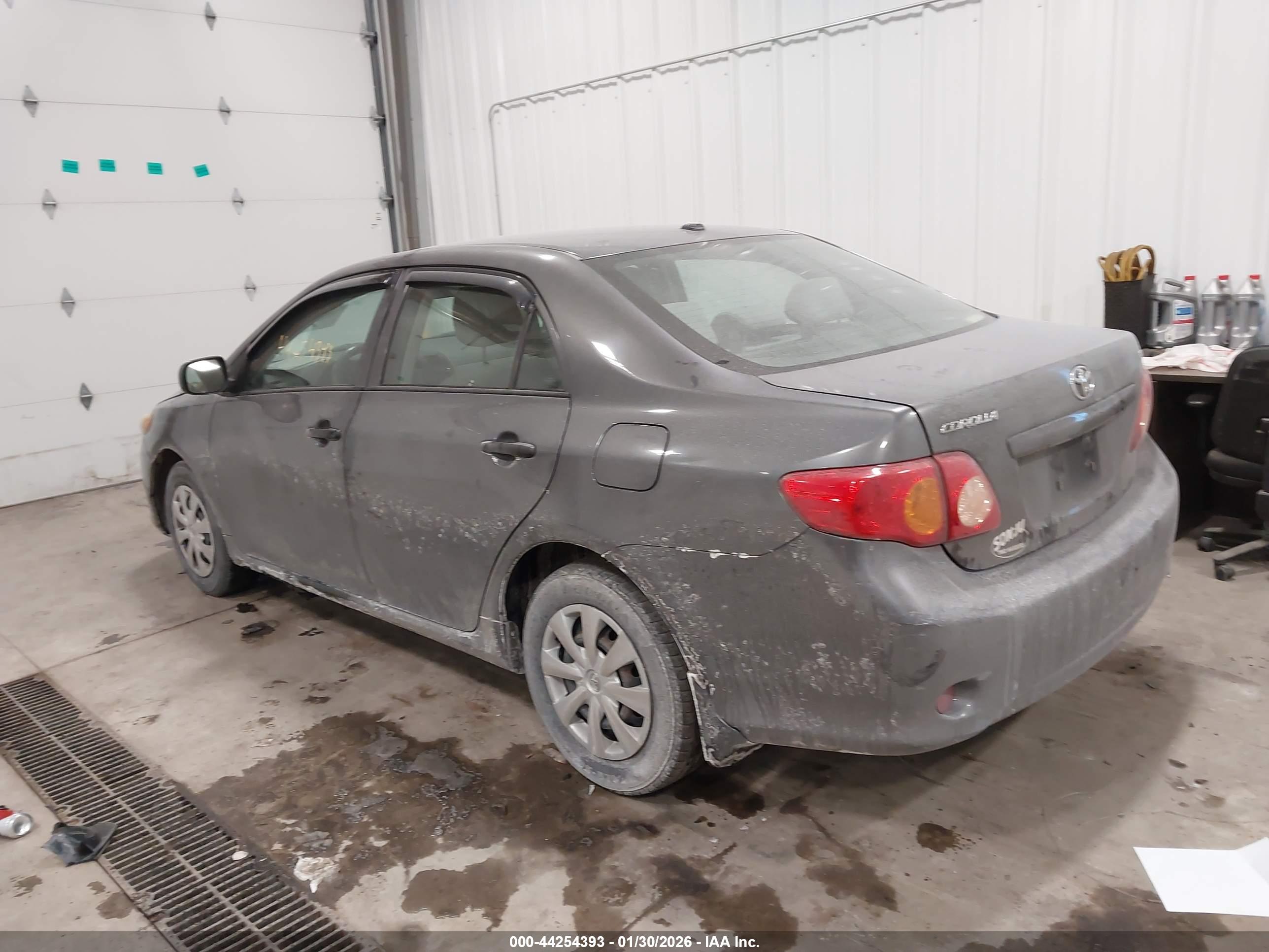TOYOTA COROLLA image 3