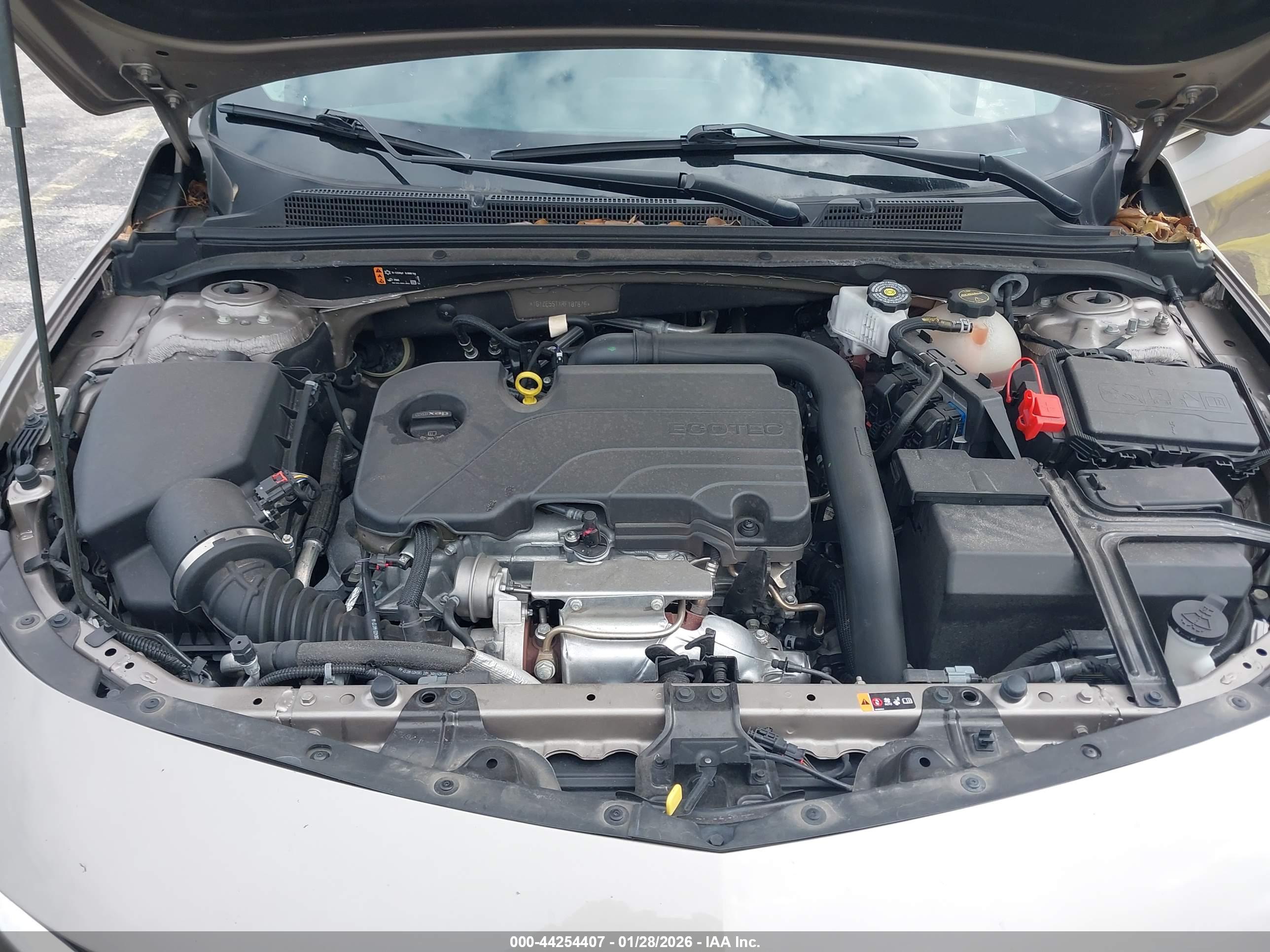 CHEVROLET MALIBU image 10
