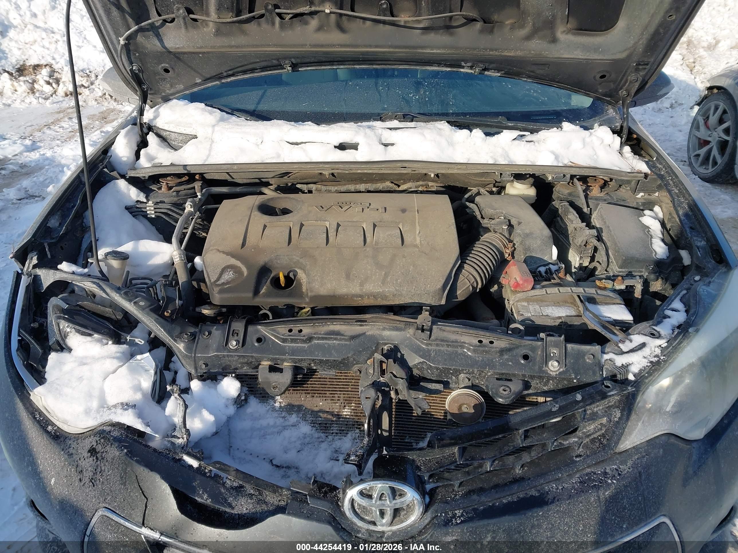 TOYOTA COROLLA image 10