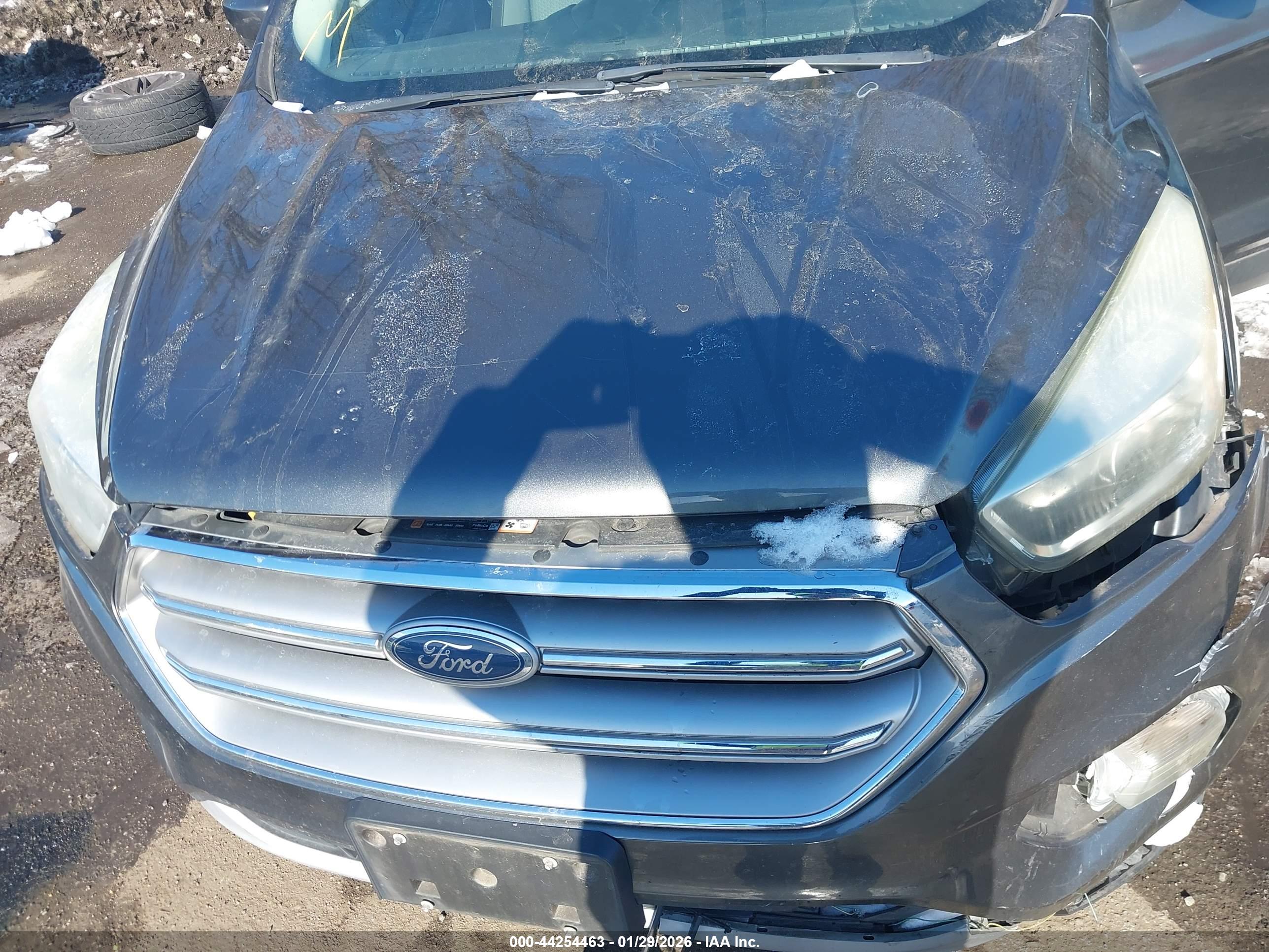 FORD ESCAPE image 10
