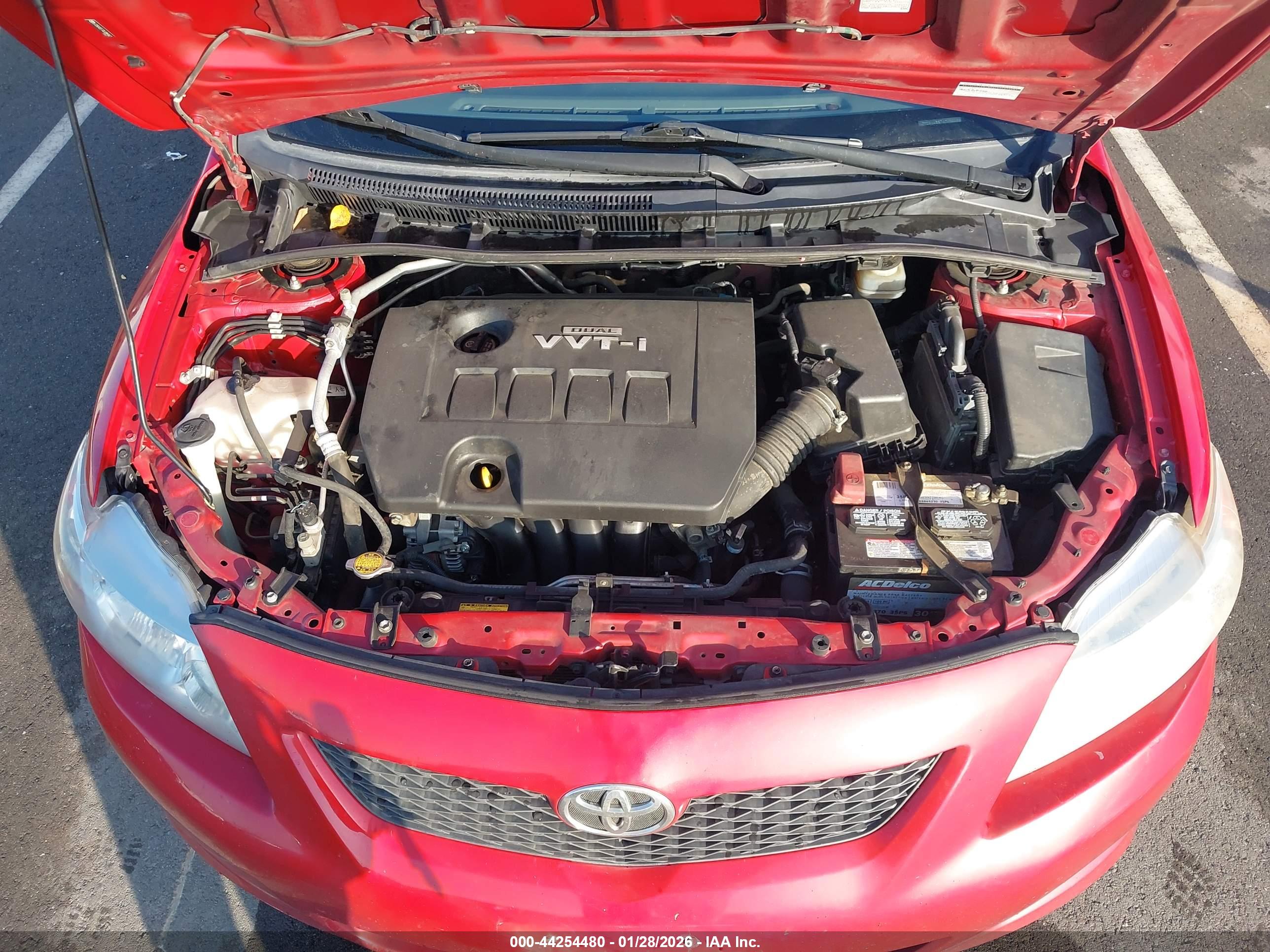 TOYOTA COROLLA image 10
