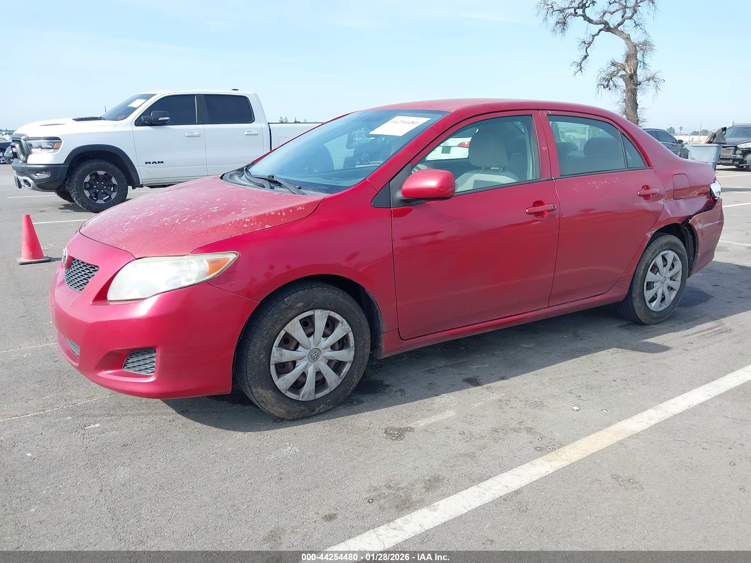 TOYOTA COROLLA image 2