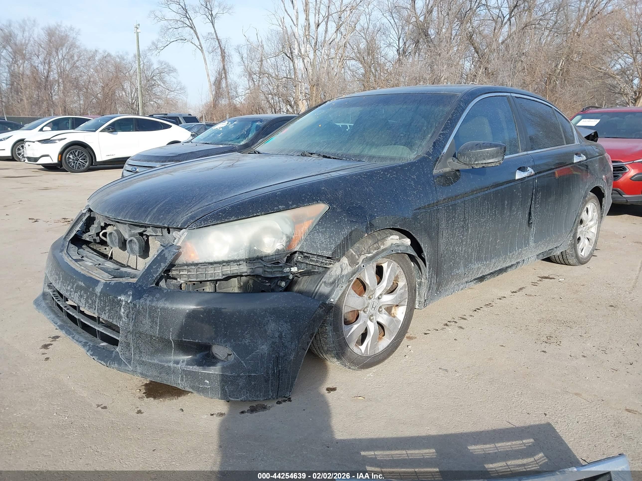 HONDA ACCORD image 2