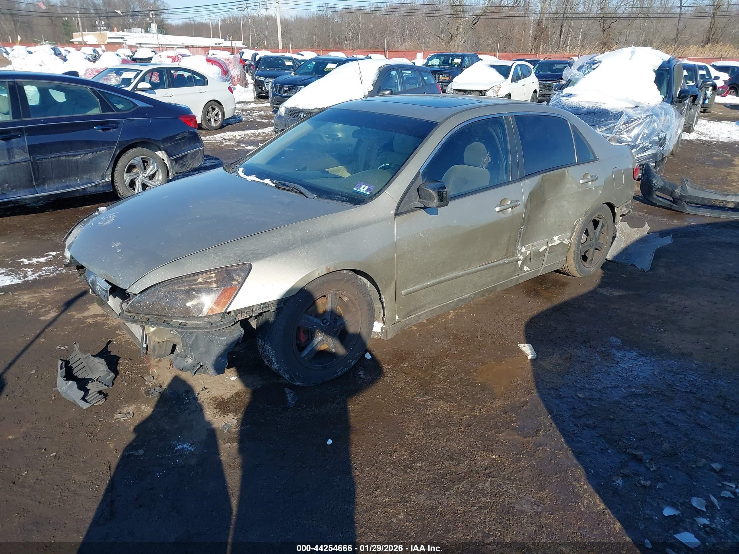 HONDA ACCORD image 2