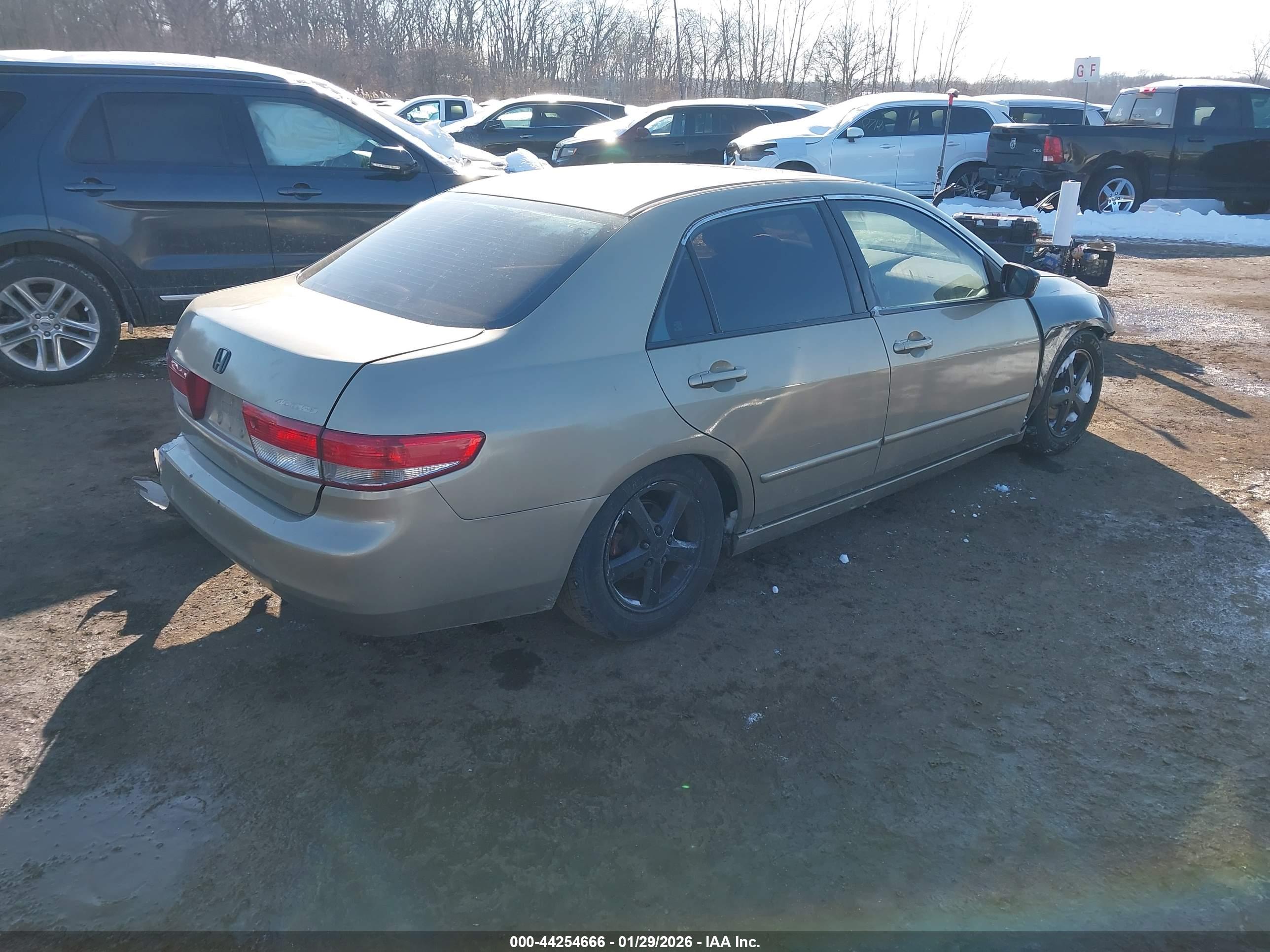 HONDA ACCORD image 4