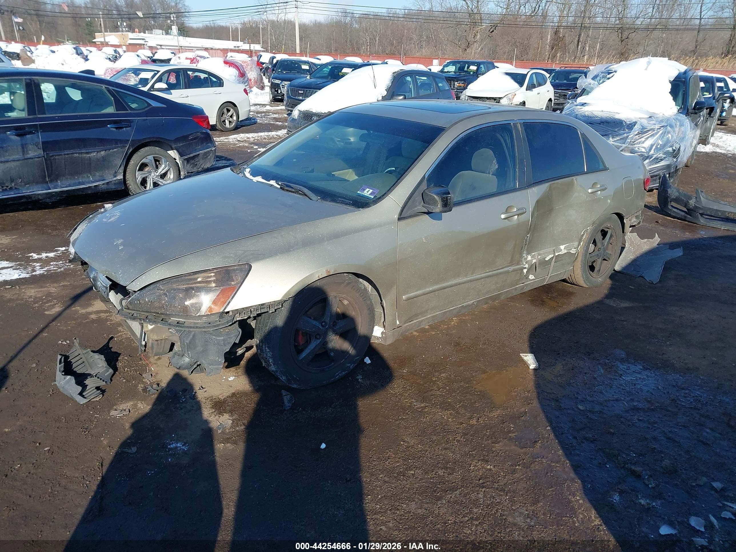 HONDA ACCORD image 6