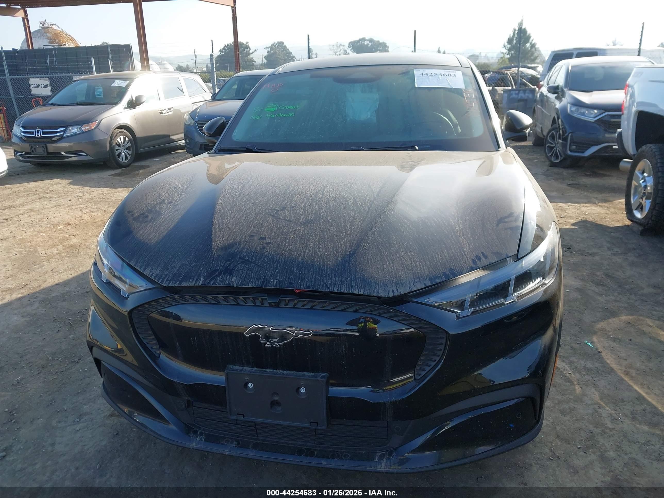 FORD MUSTANG image 6