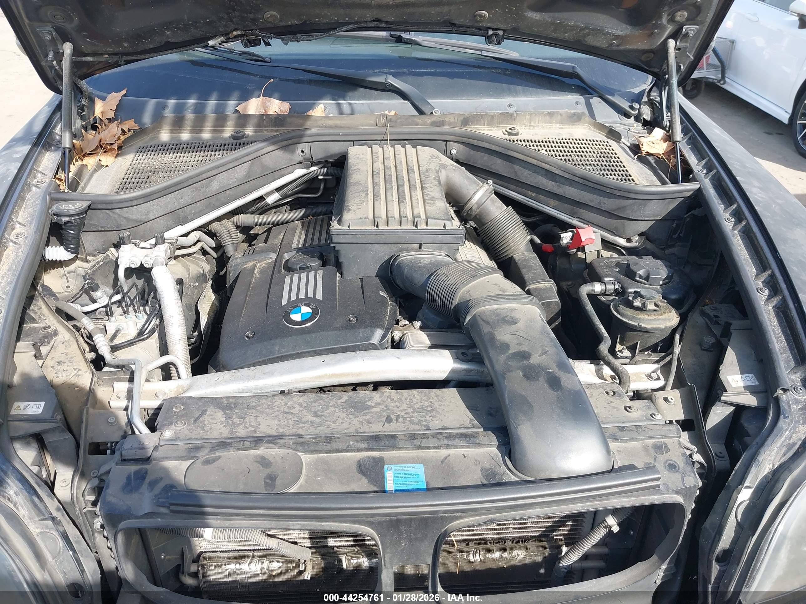 BMW X5 image 10