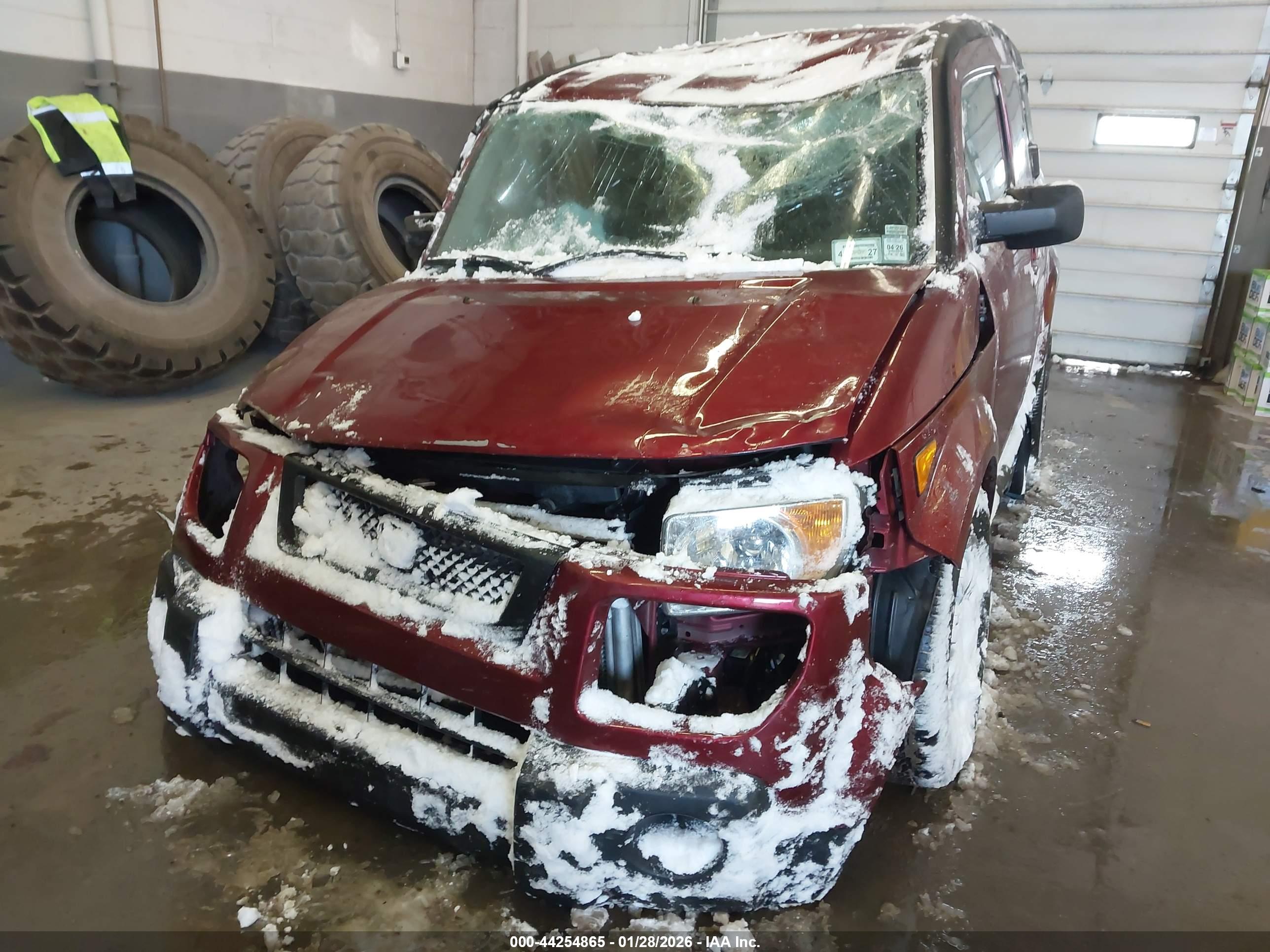 HONDA ELEMENT image 6