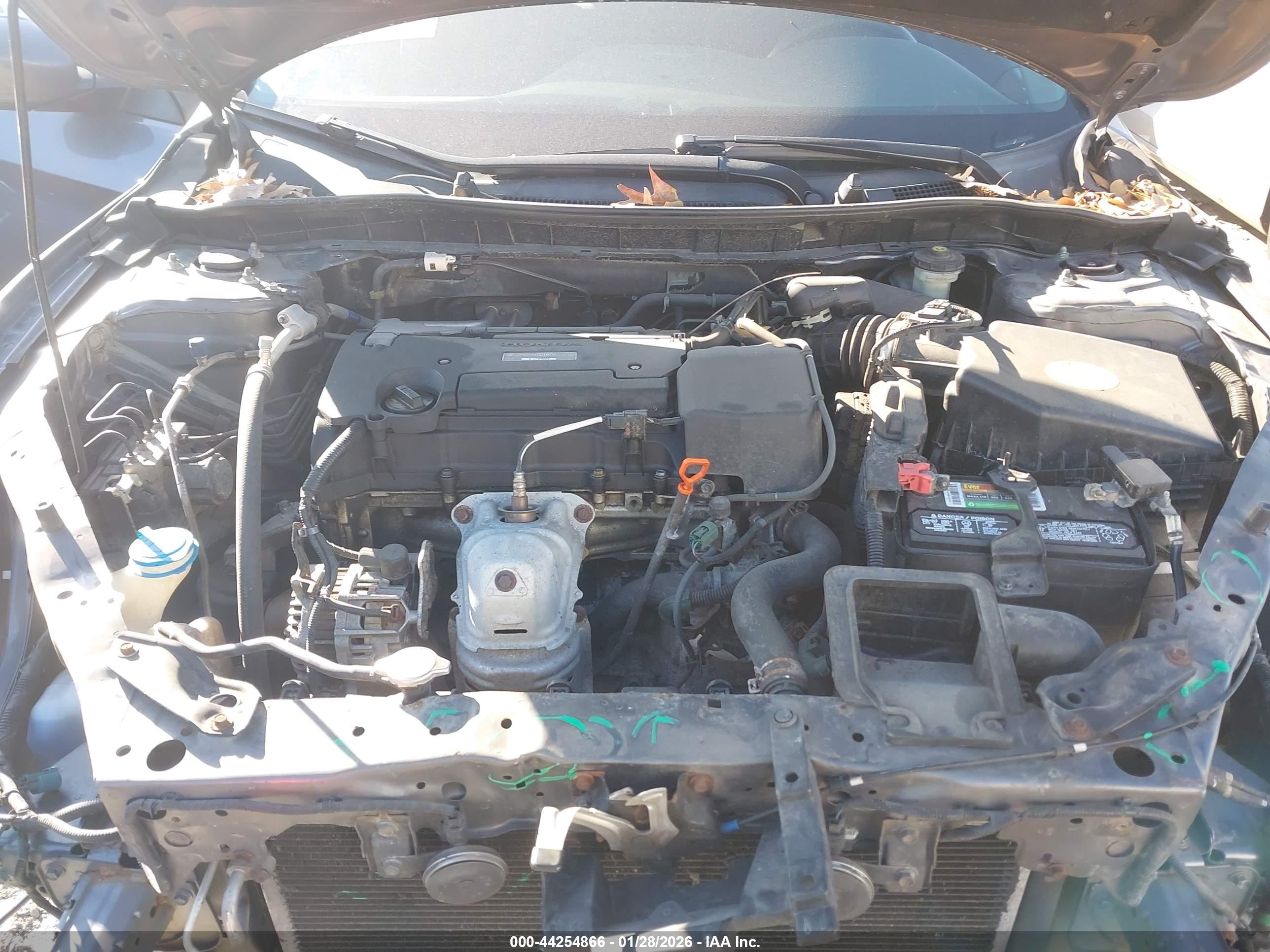 HONDA ACCORD image 10