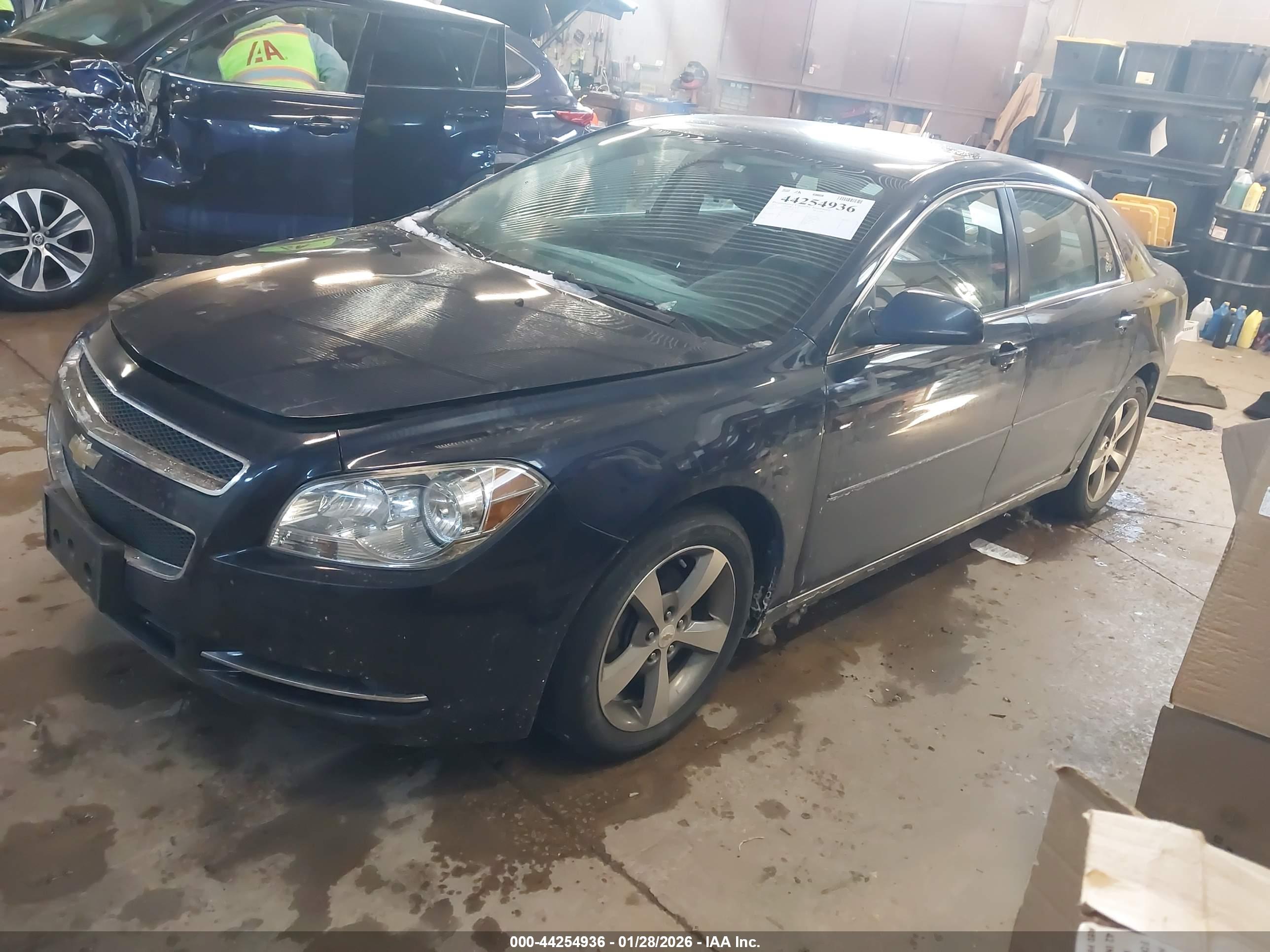 CHEVROLET MALIBU image 2