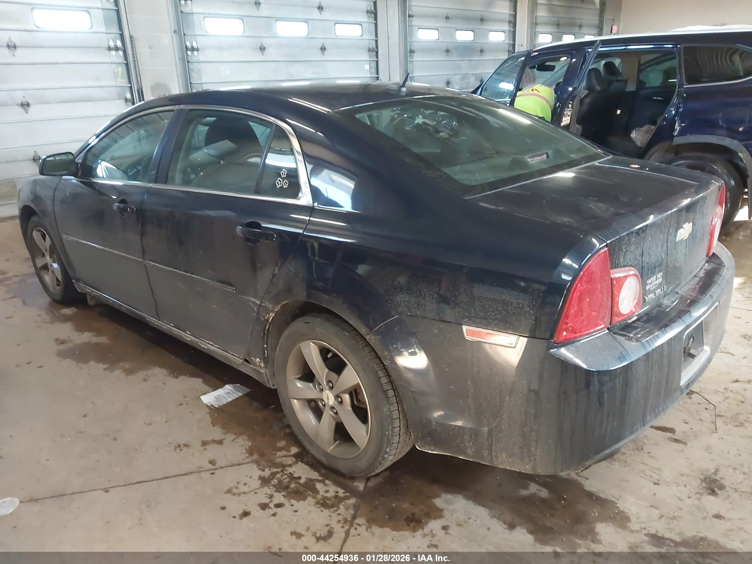 CHEVROLET MALIBU image 3