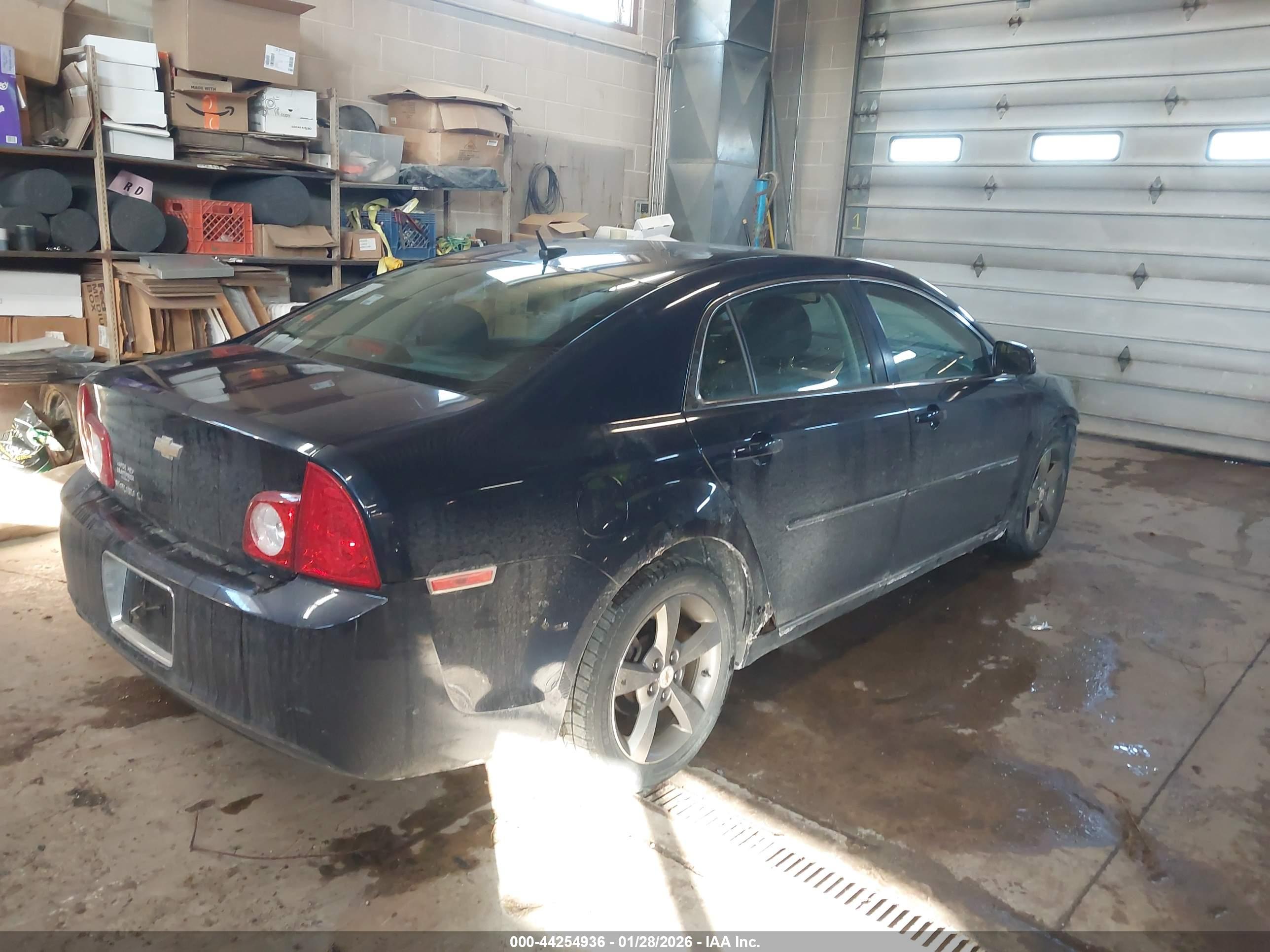 CHEVROLET MALIBU image 4