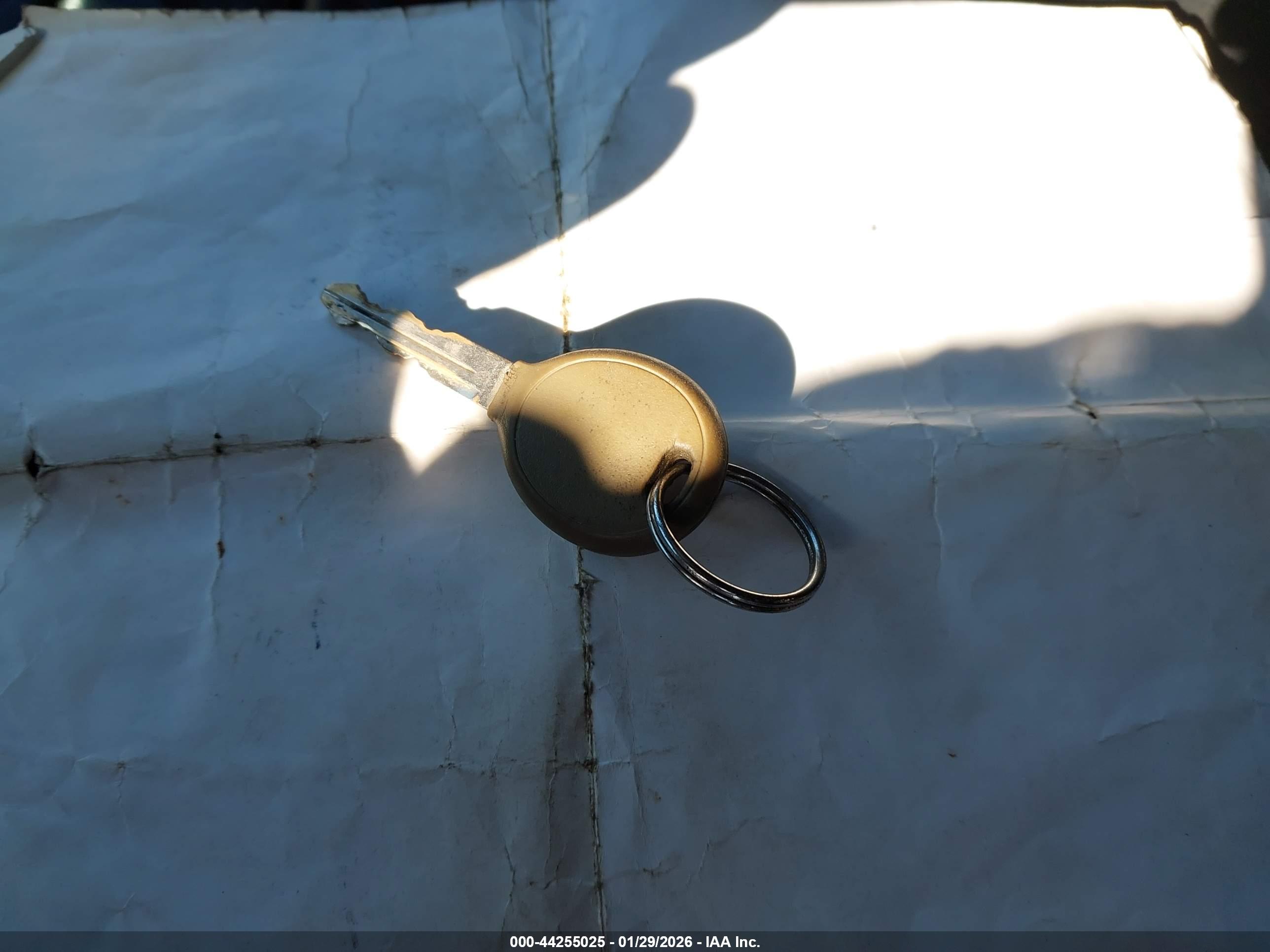 JEEP WRANGLER image 11