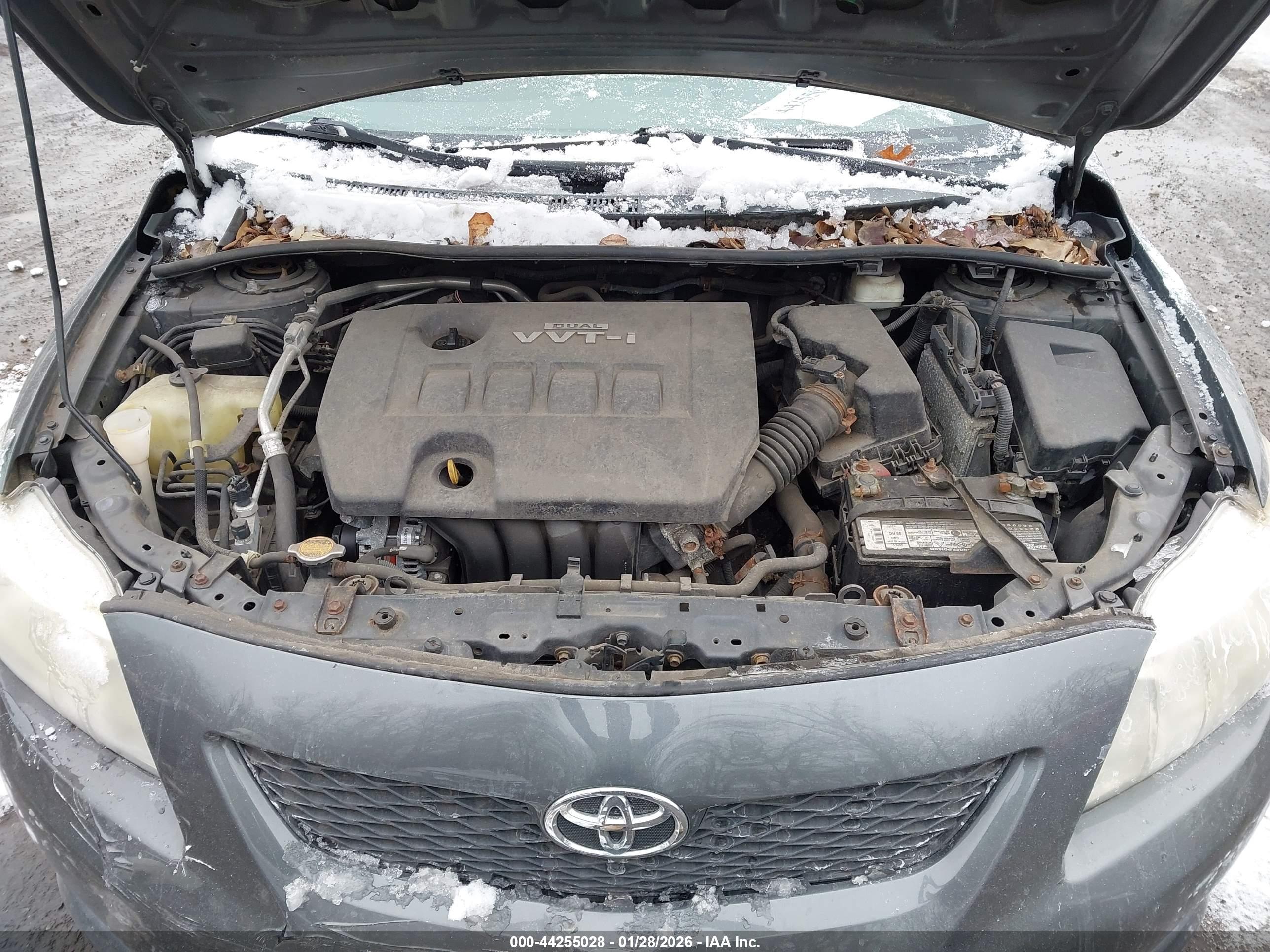 TOYOTA COROLLA image 10
