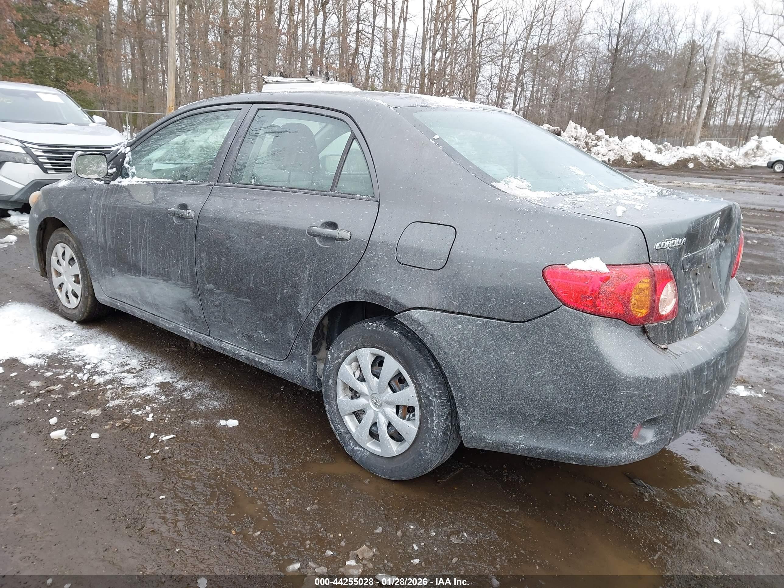 TOYOTA COROLLA image 3