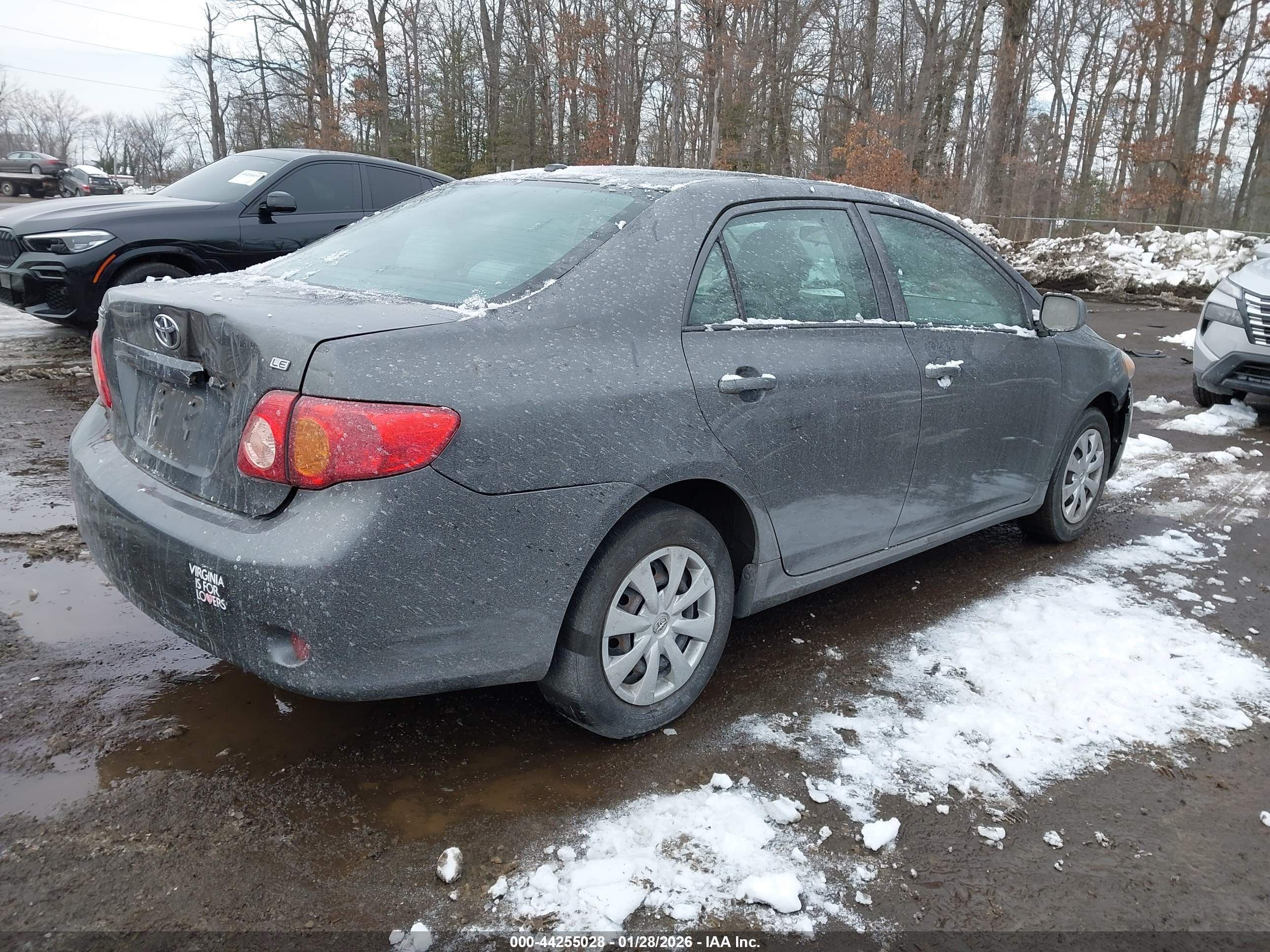 TOYOTA COROLLA image 4