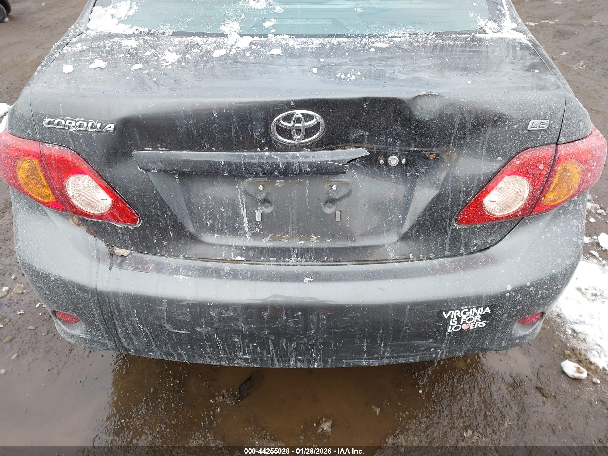 TOYOTA COROLLA image 6