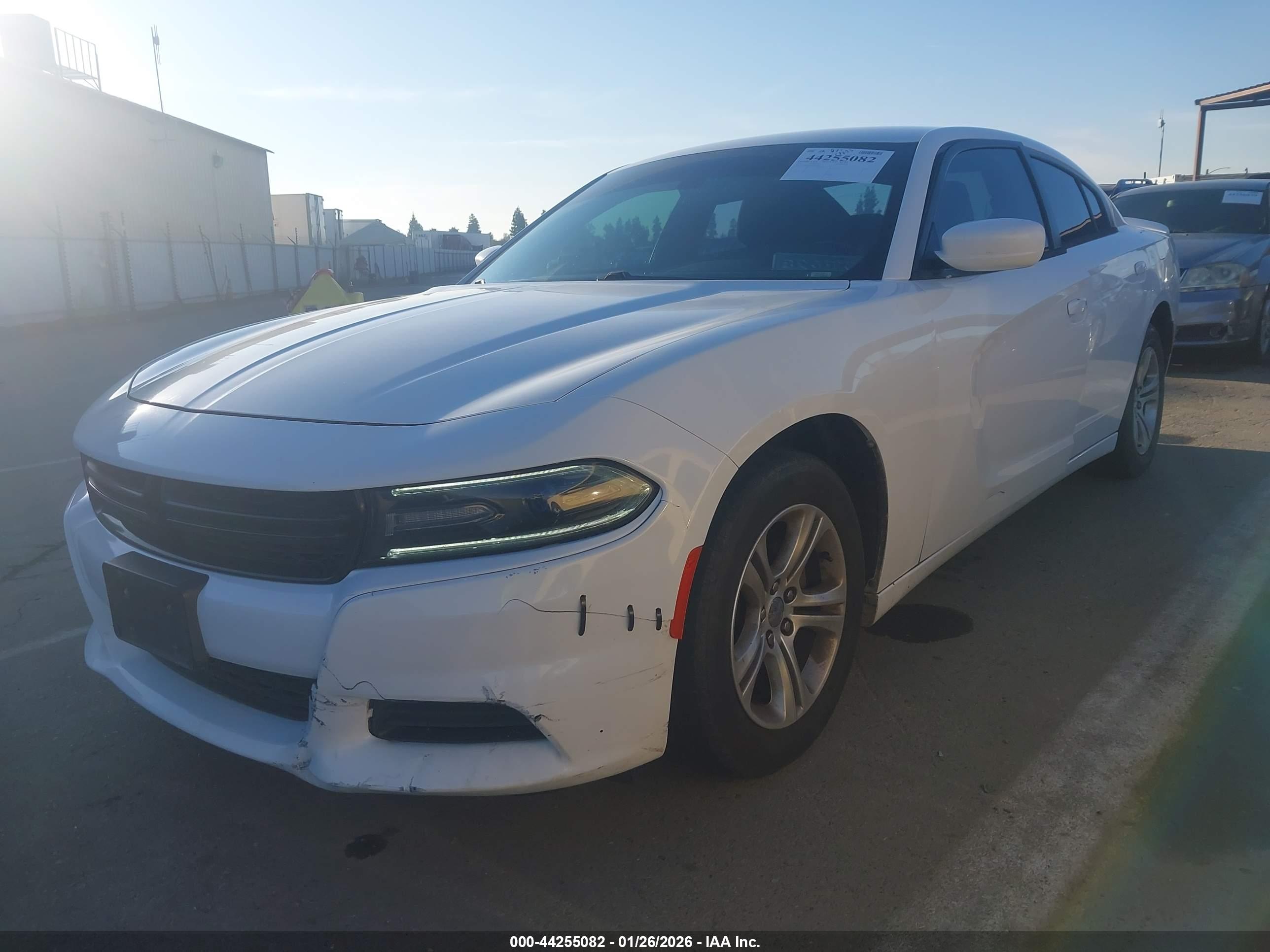 DODGE CHARGER image 2