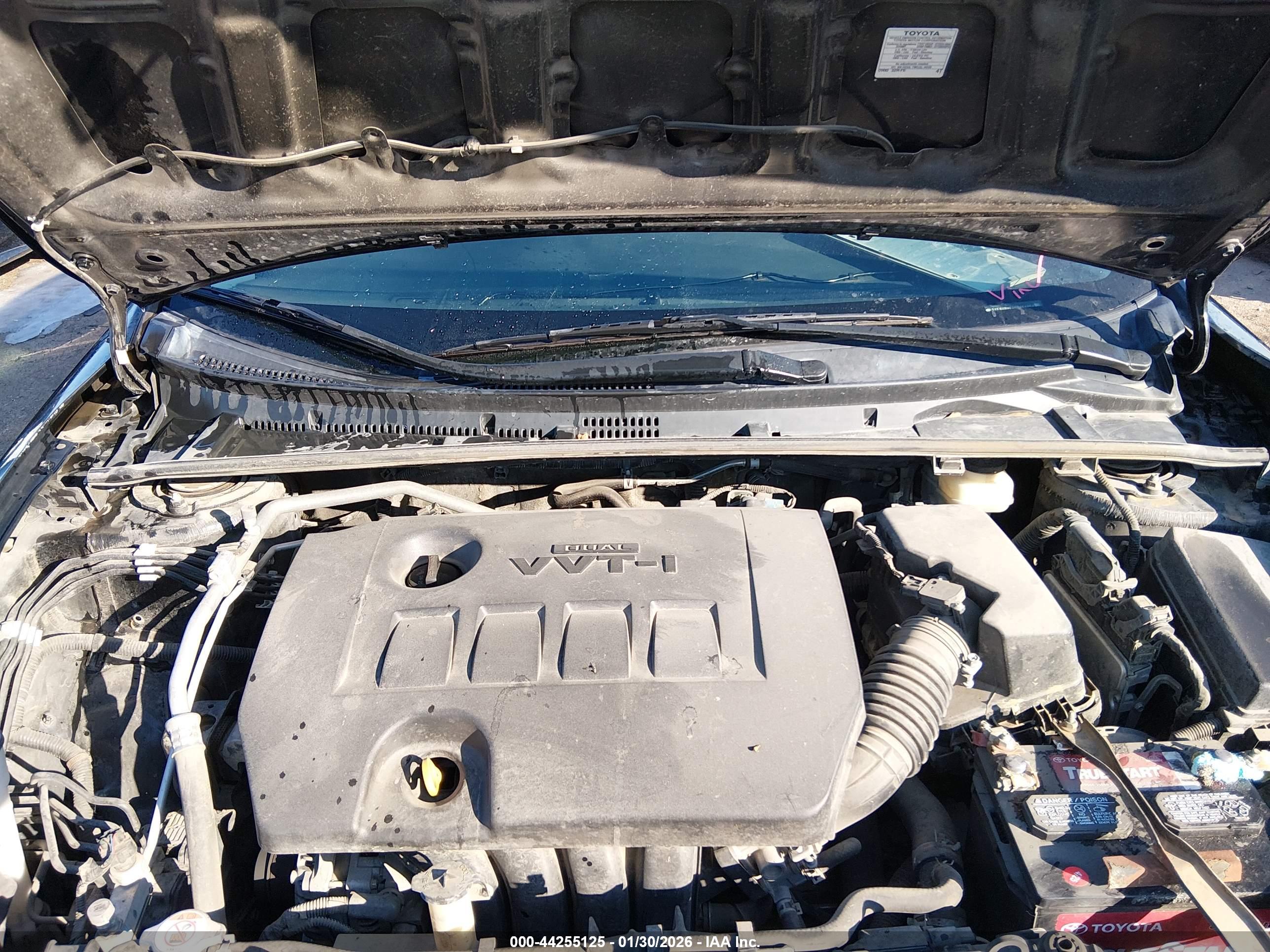 TOYOTA COROLLA image 10