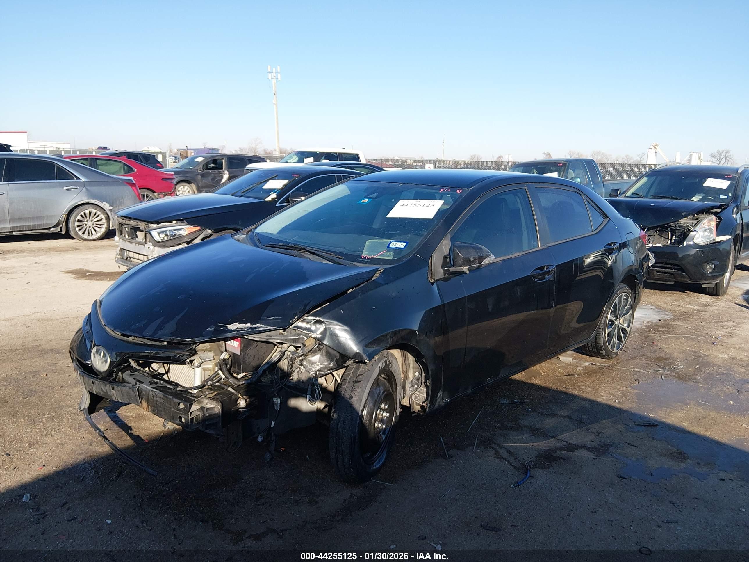 TOYOTA COROLLA image 2