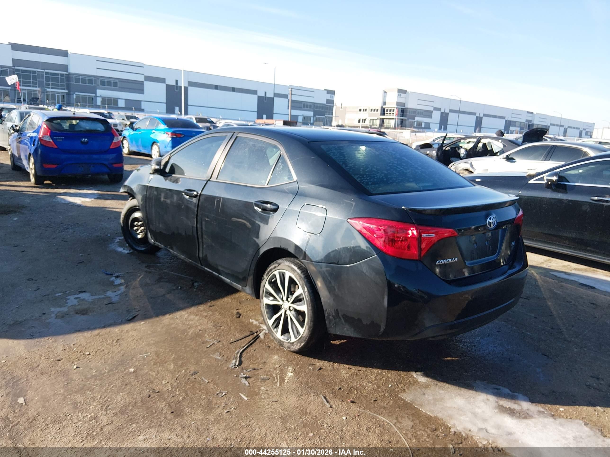 TOYOTA COROLLA image 3