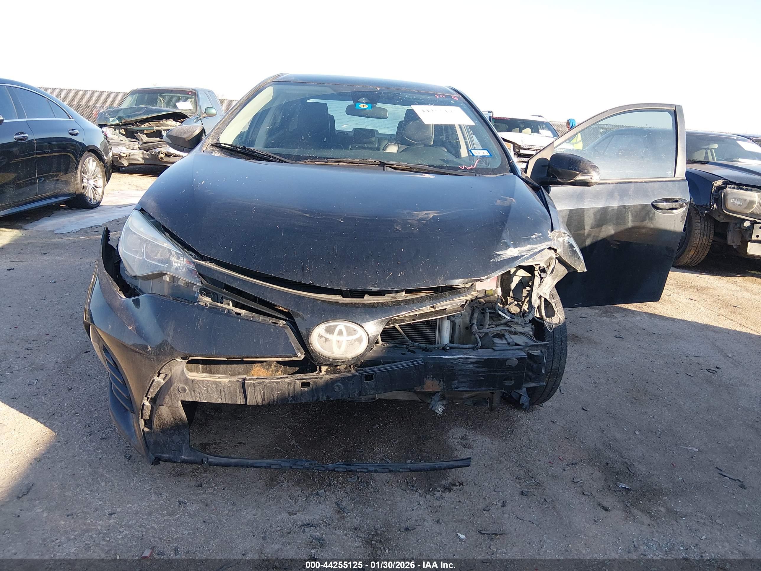 TOYOTA COROLLA image 6