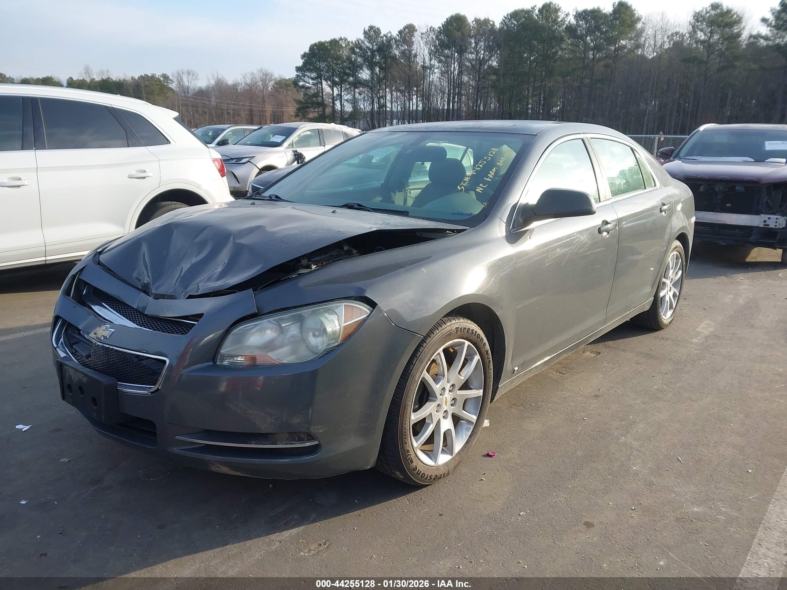 CHEVROLET MALIBU image 2