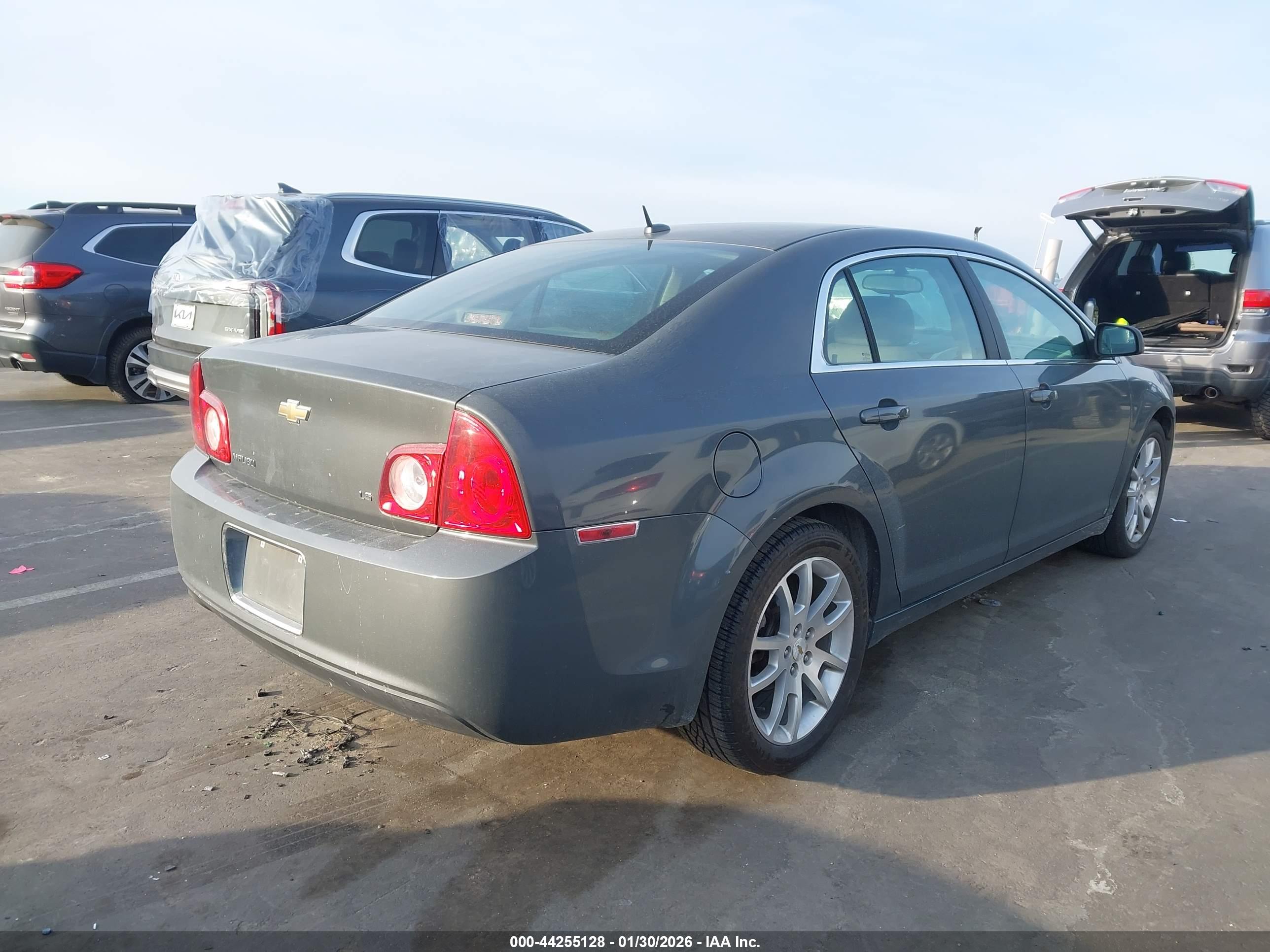 CHEVROLET MALIBU image 4