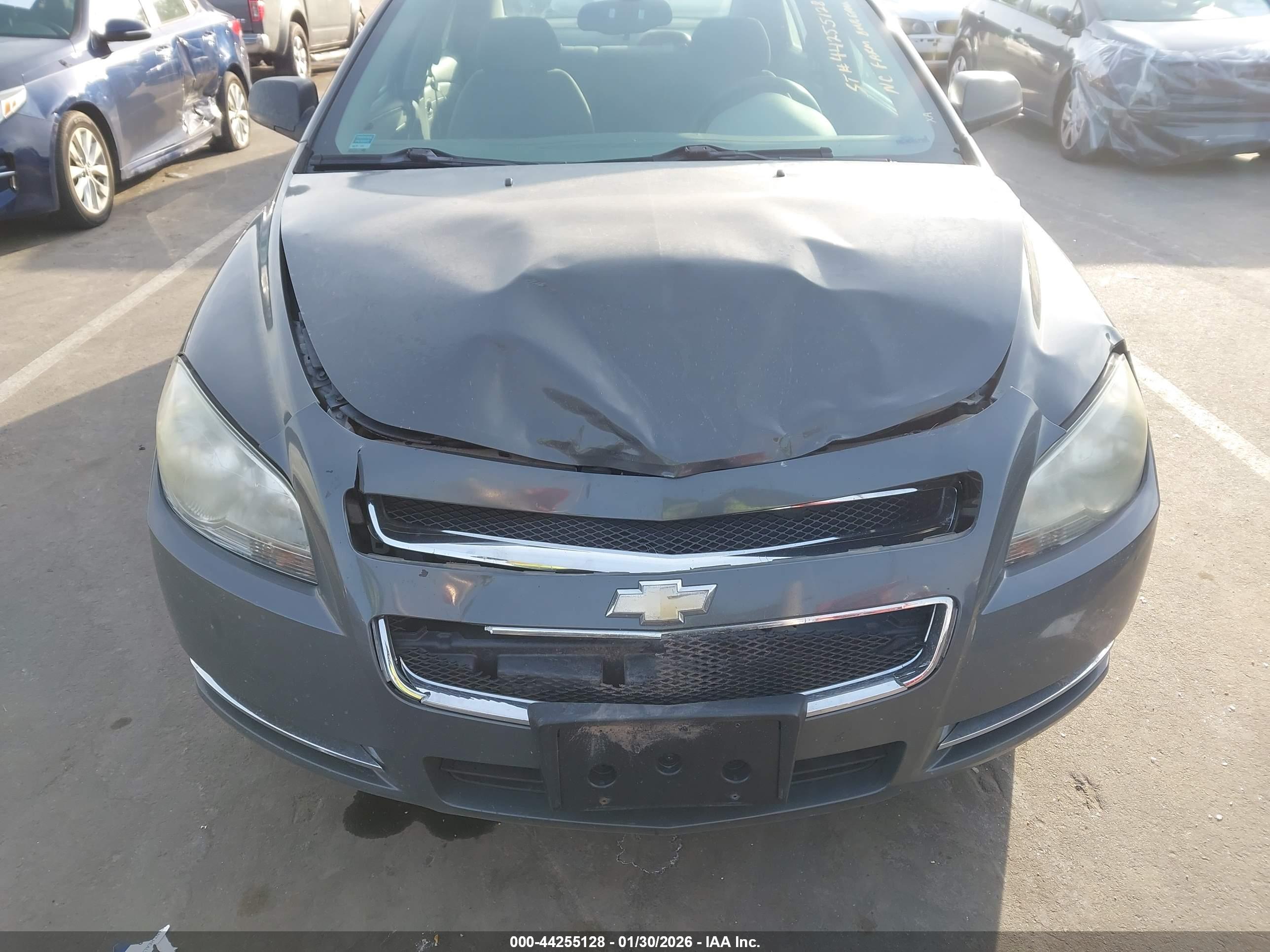 CHEVROLET MALIBU image 6