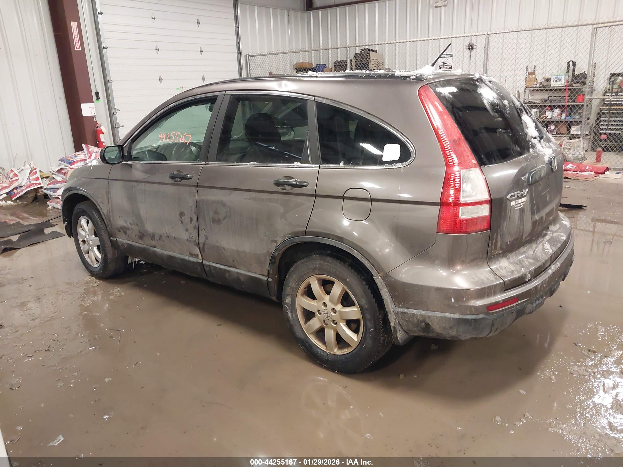 HONDA CR-V image 3