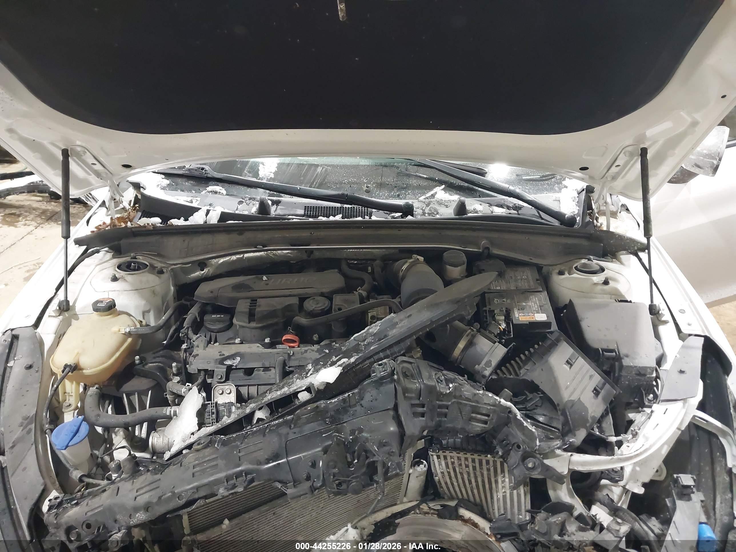 KIA K5 image 10