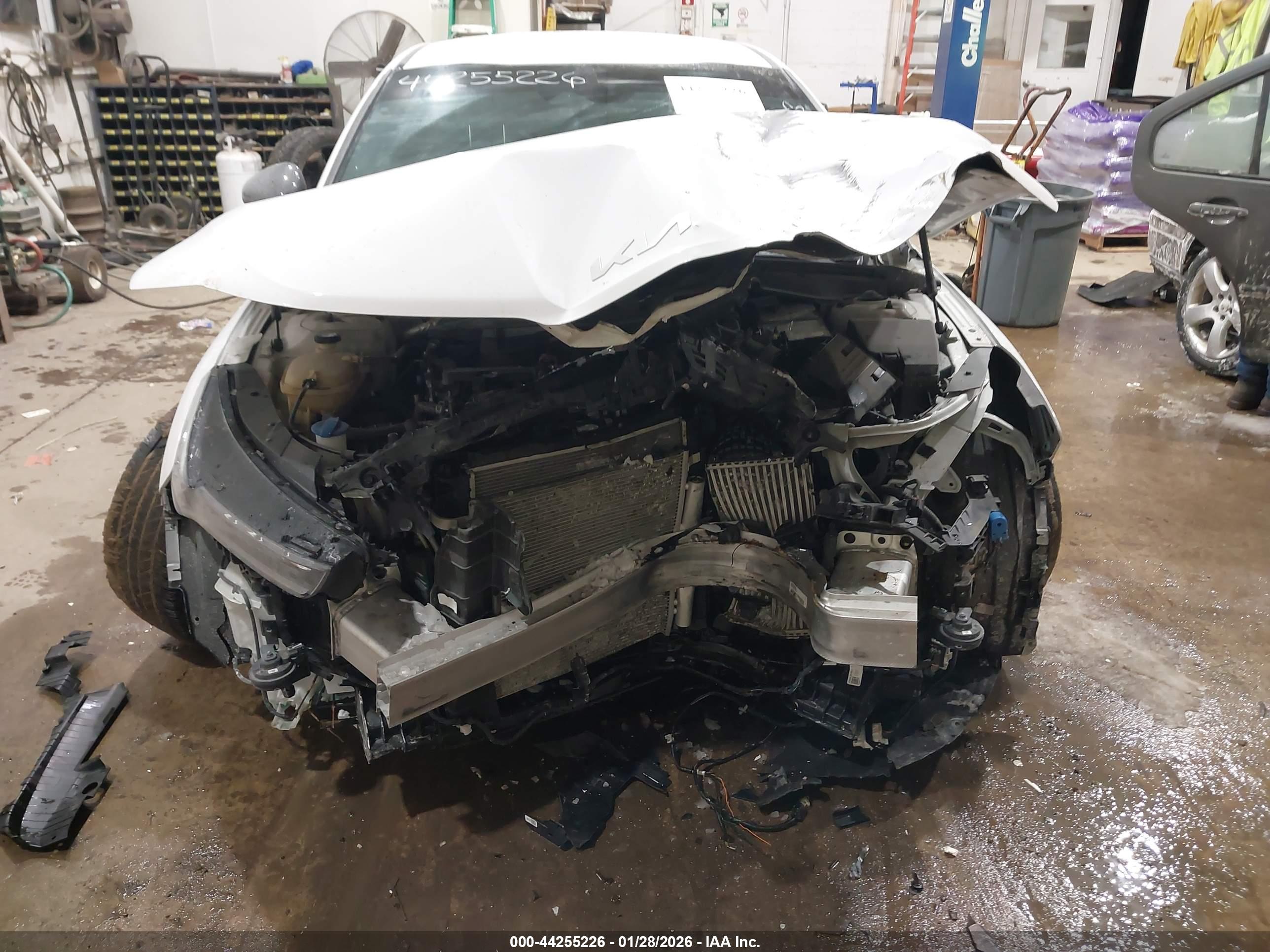 KIA K5 image 6