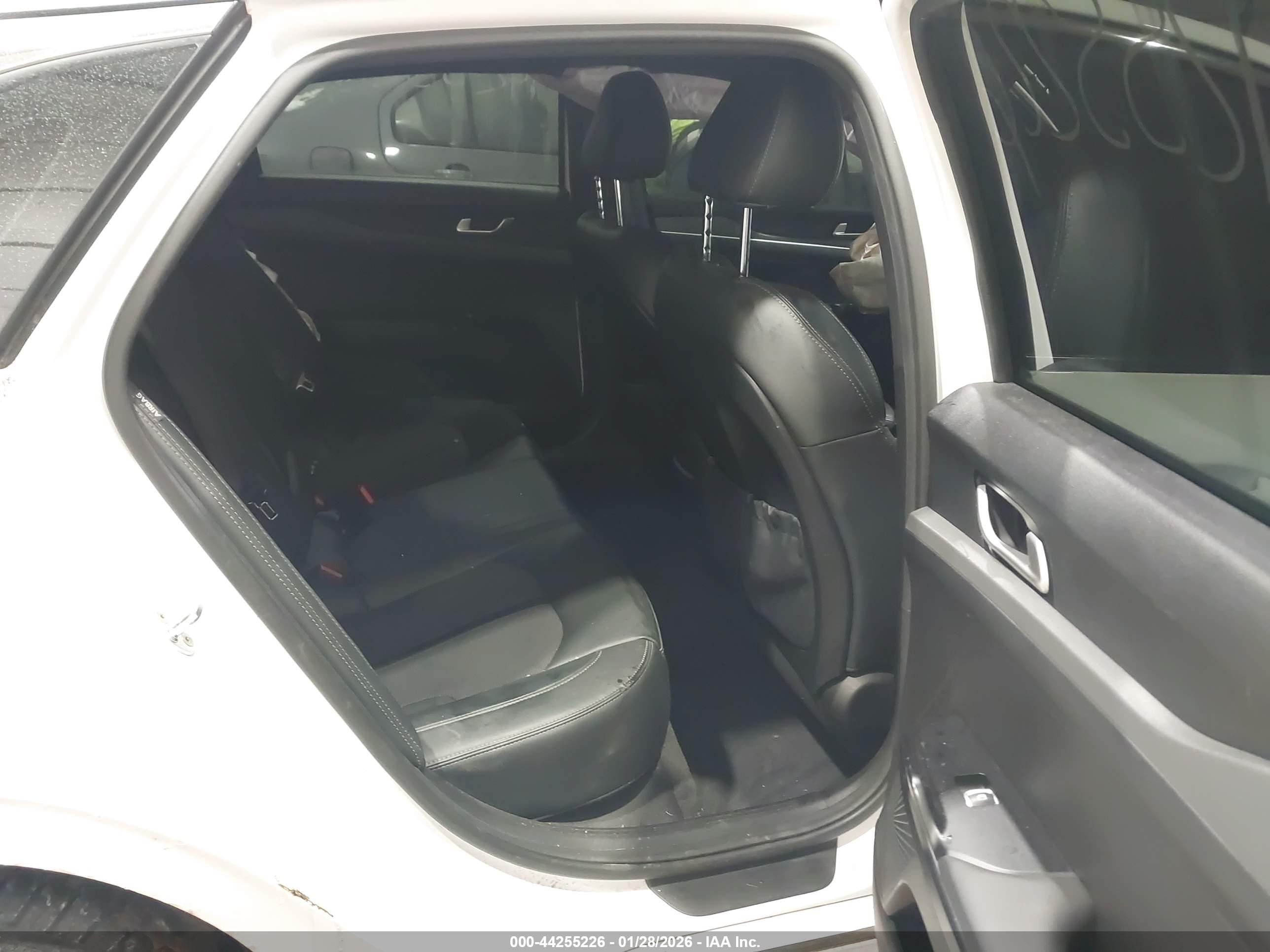 KIA K5 image 8