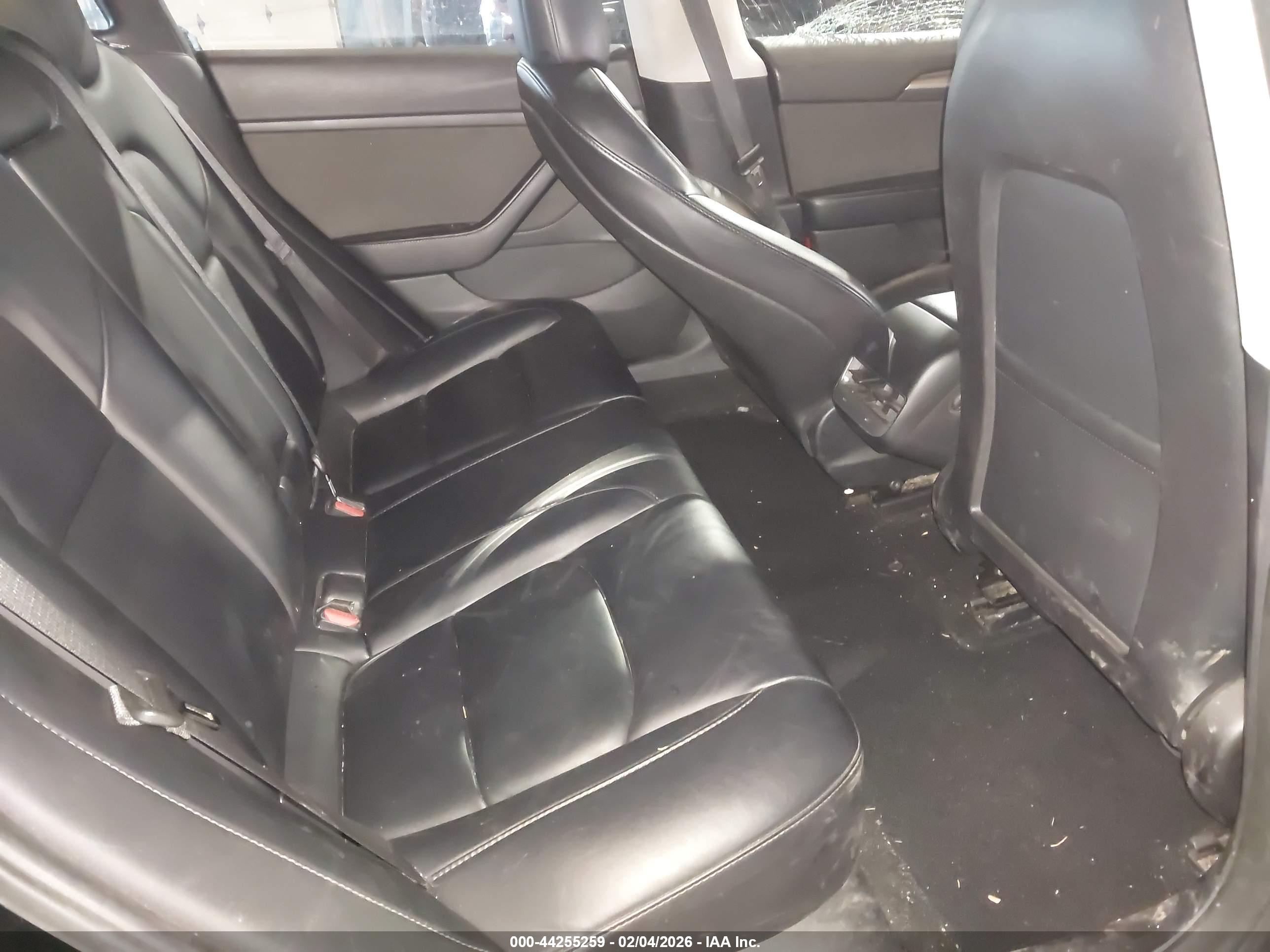 TESLA MODEL image 8